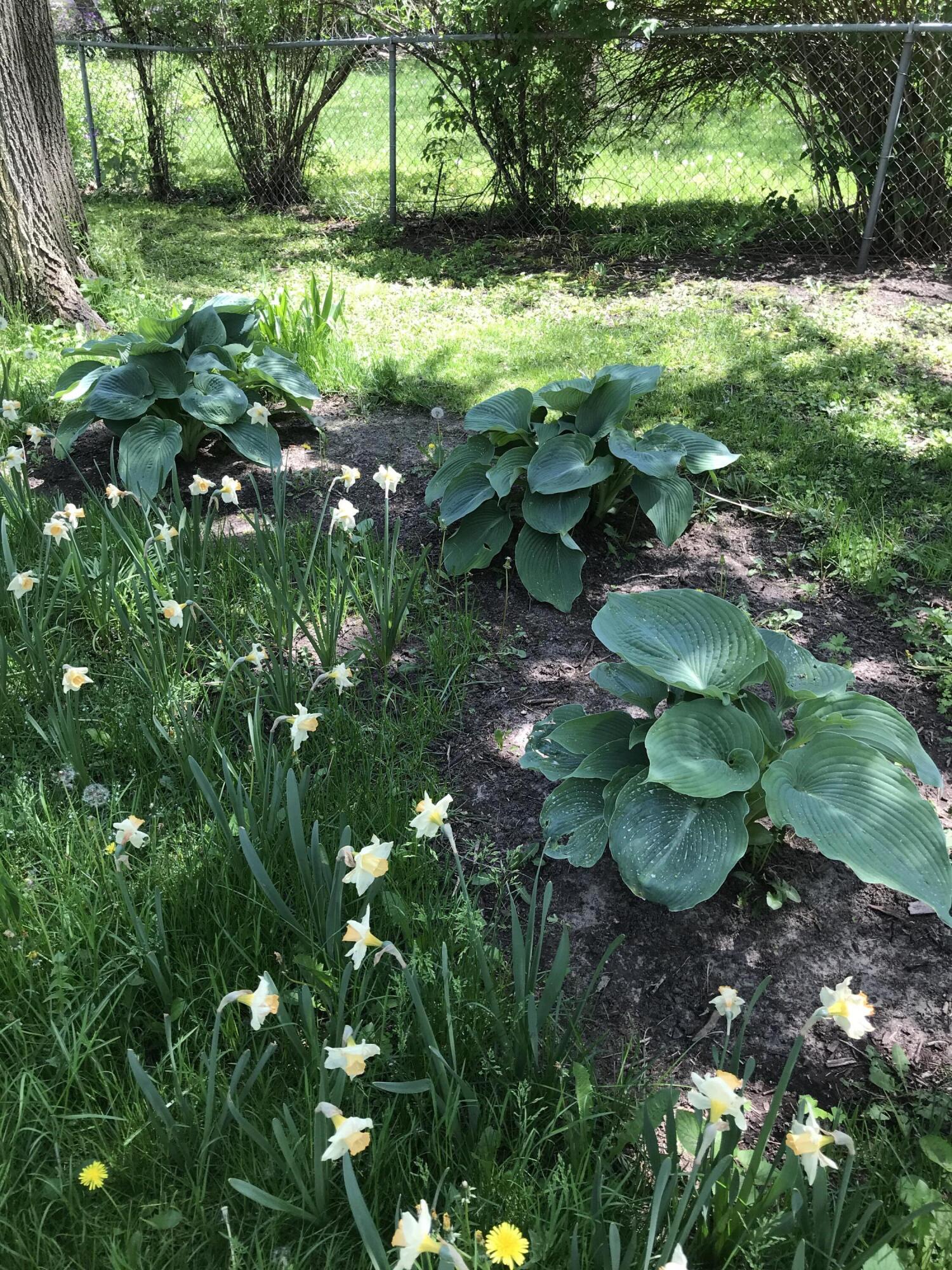 2150 Kinsey Street Muskegon MI 49441