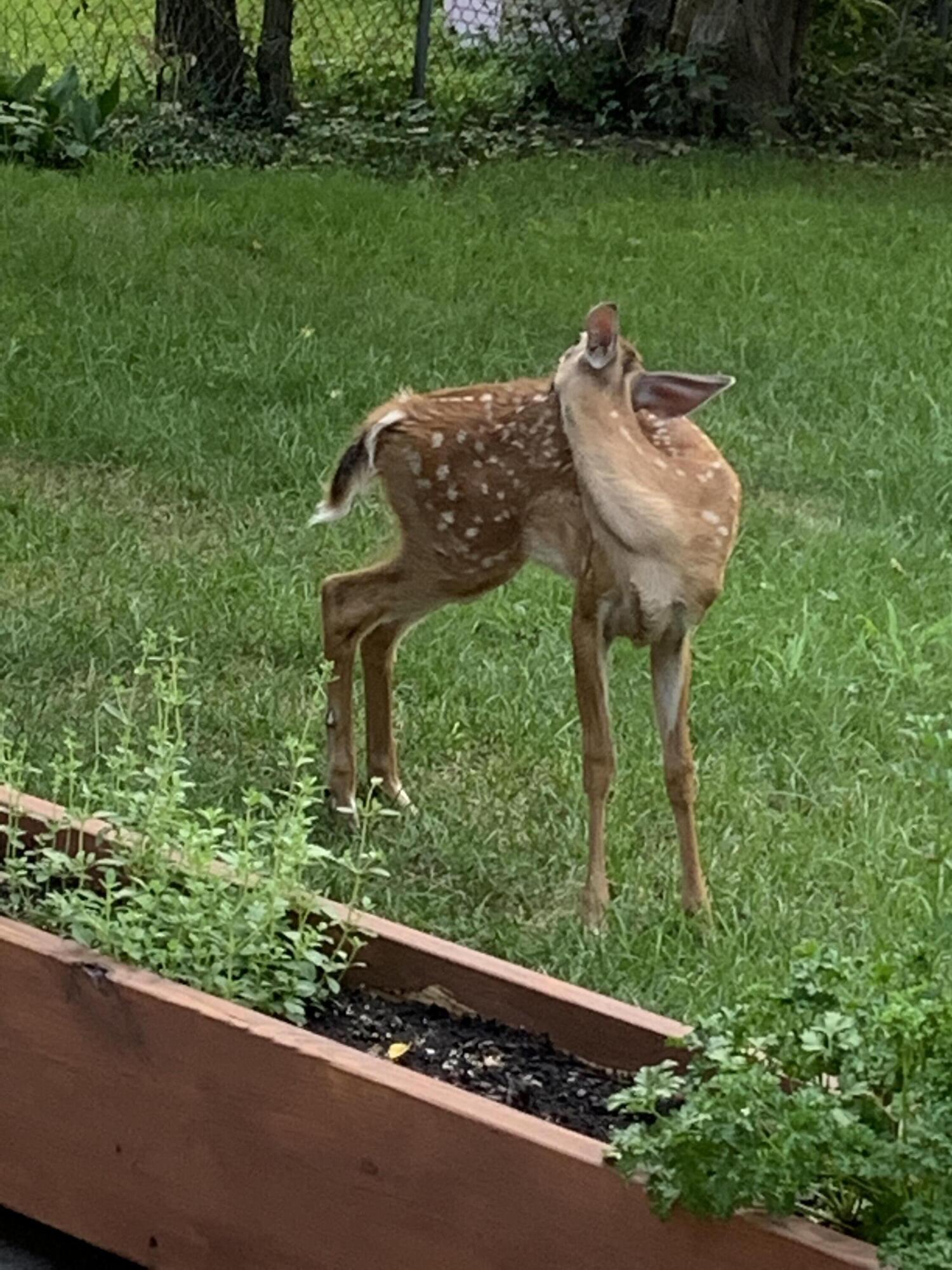 2150 Kinsey Street Muskegon MI 49441