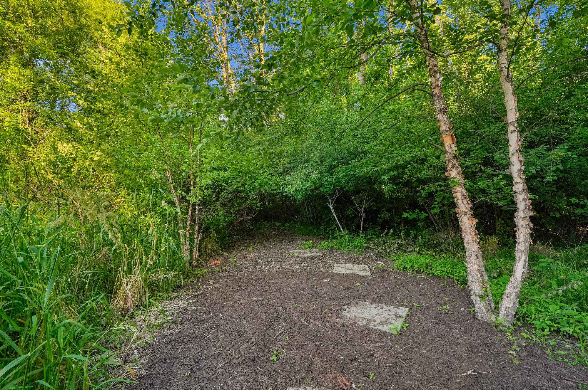 2037 Jennydale Court SE Grand Rapids MI 49546