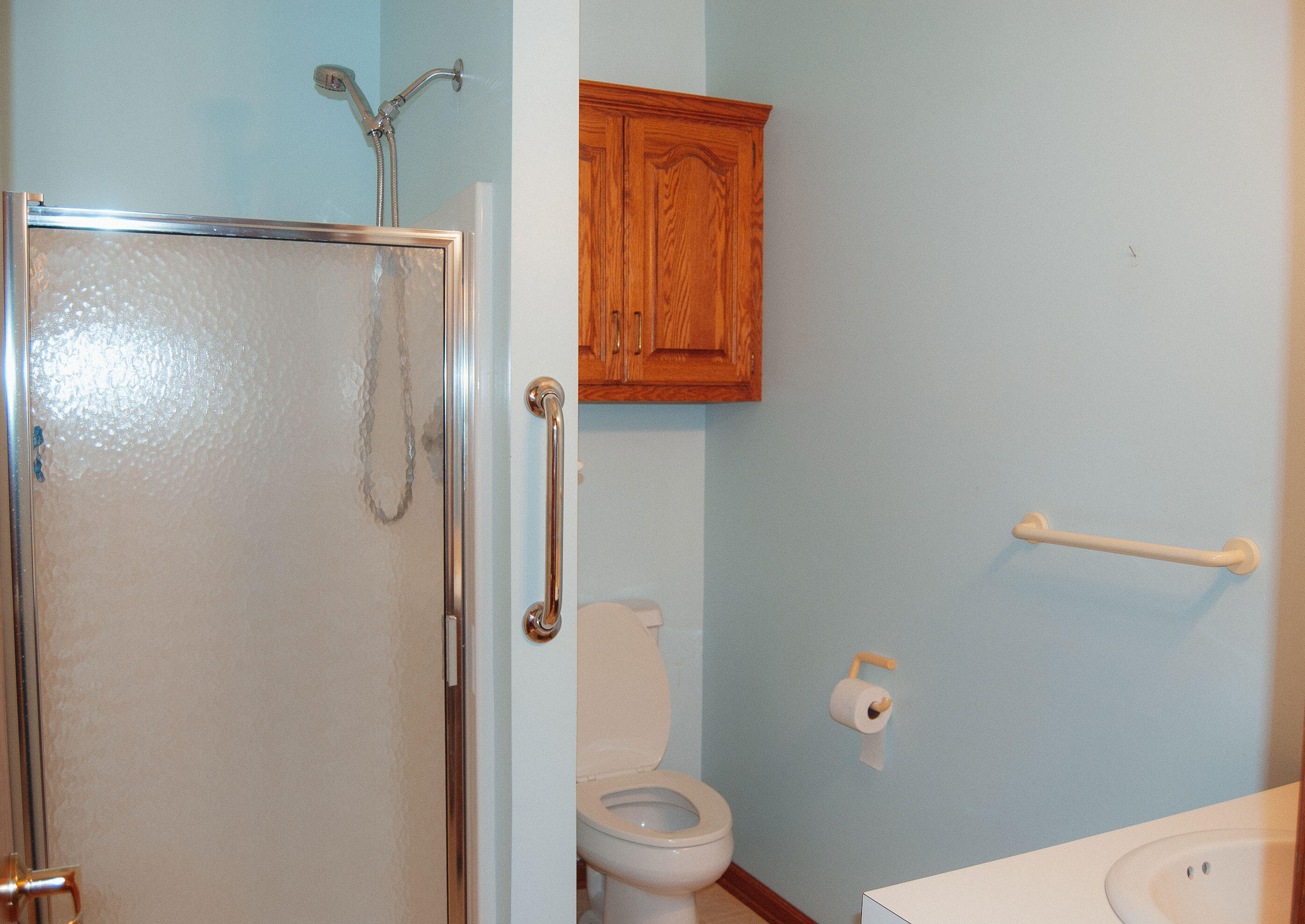 6674 Airfield Court SW Byron Center MI 49315