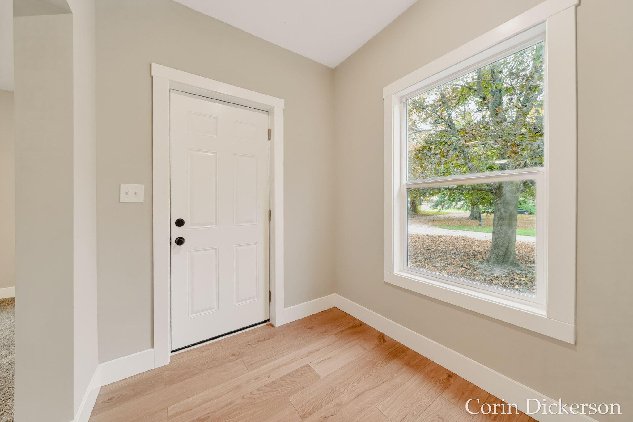 223 Selby Street Hopkins MI 49328