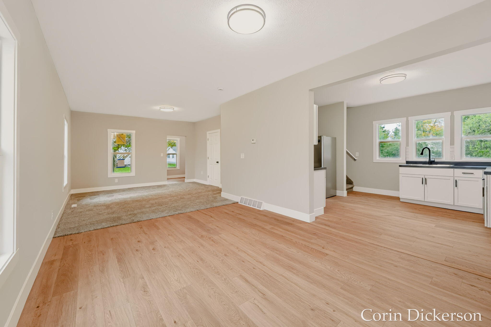 223 Selby Street Hopkins MI 49328