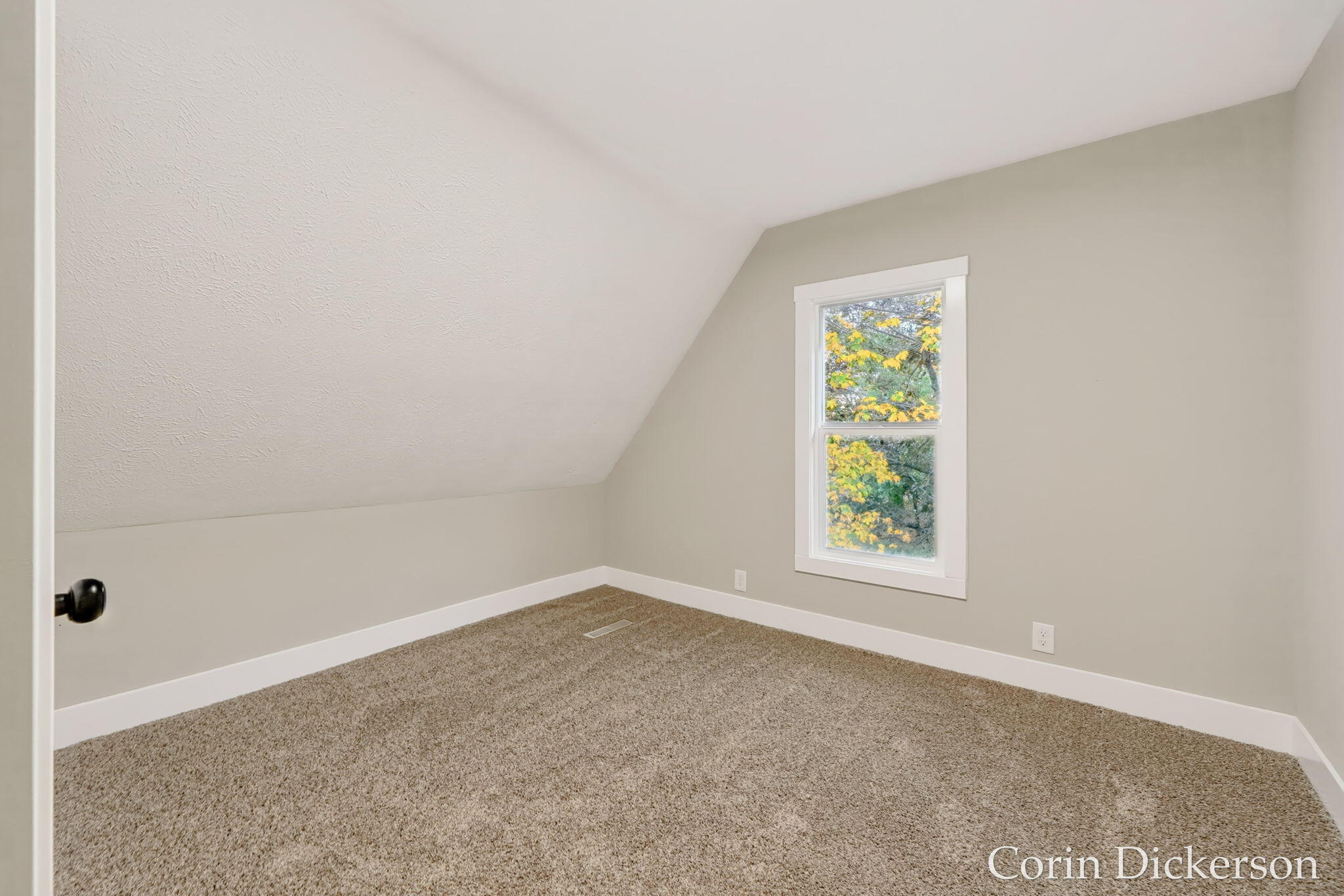 223 Selby Street Hopkins MI 49328