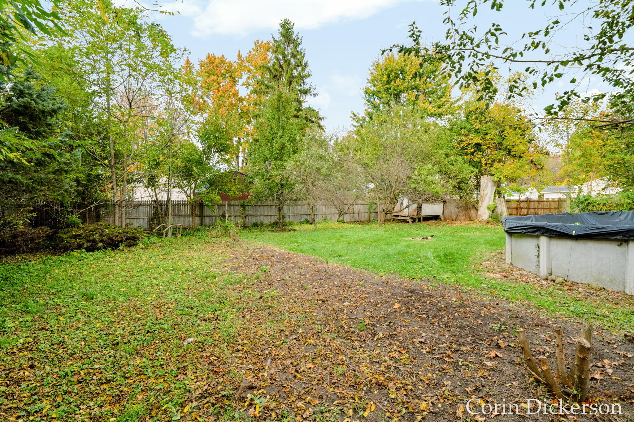 223 Selby Street Hopkins MI 49328