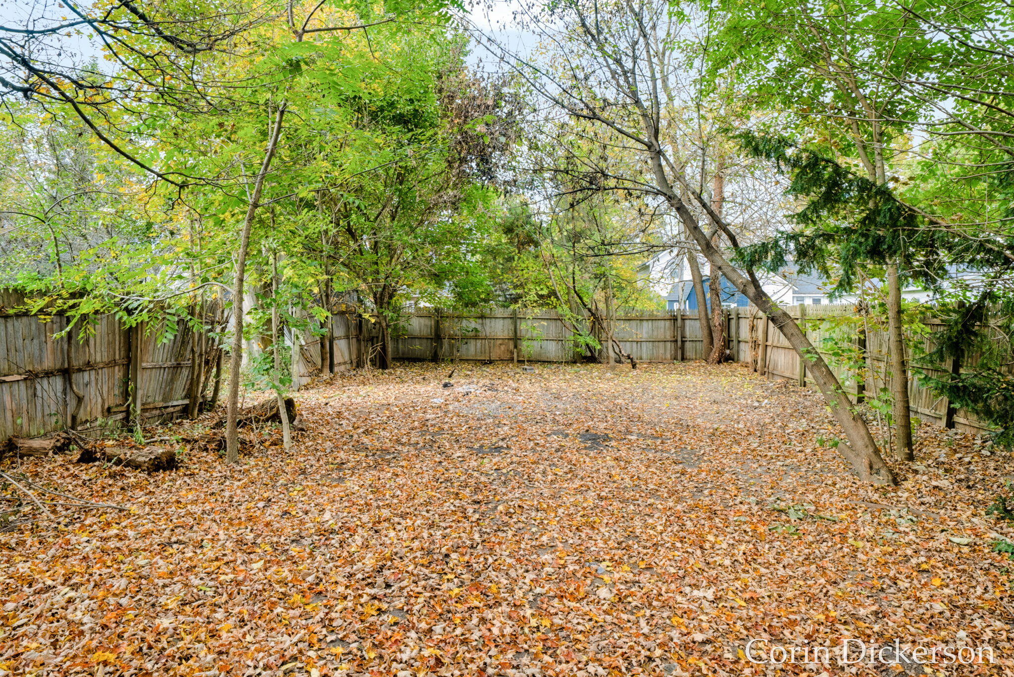 223 Selby Street Hopkins MI 49328