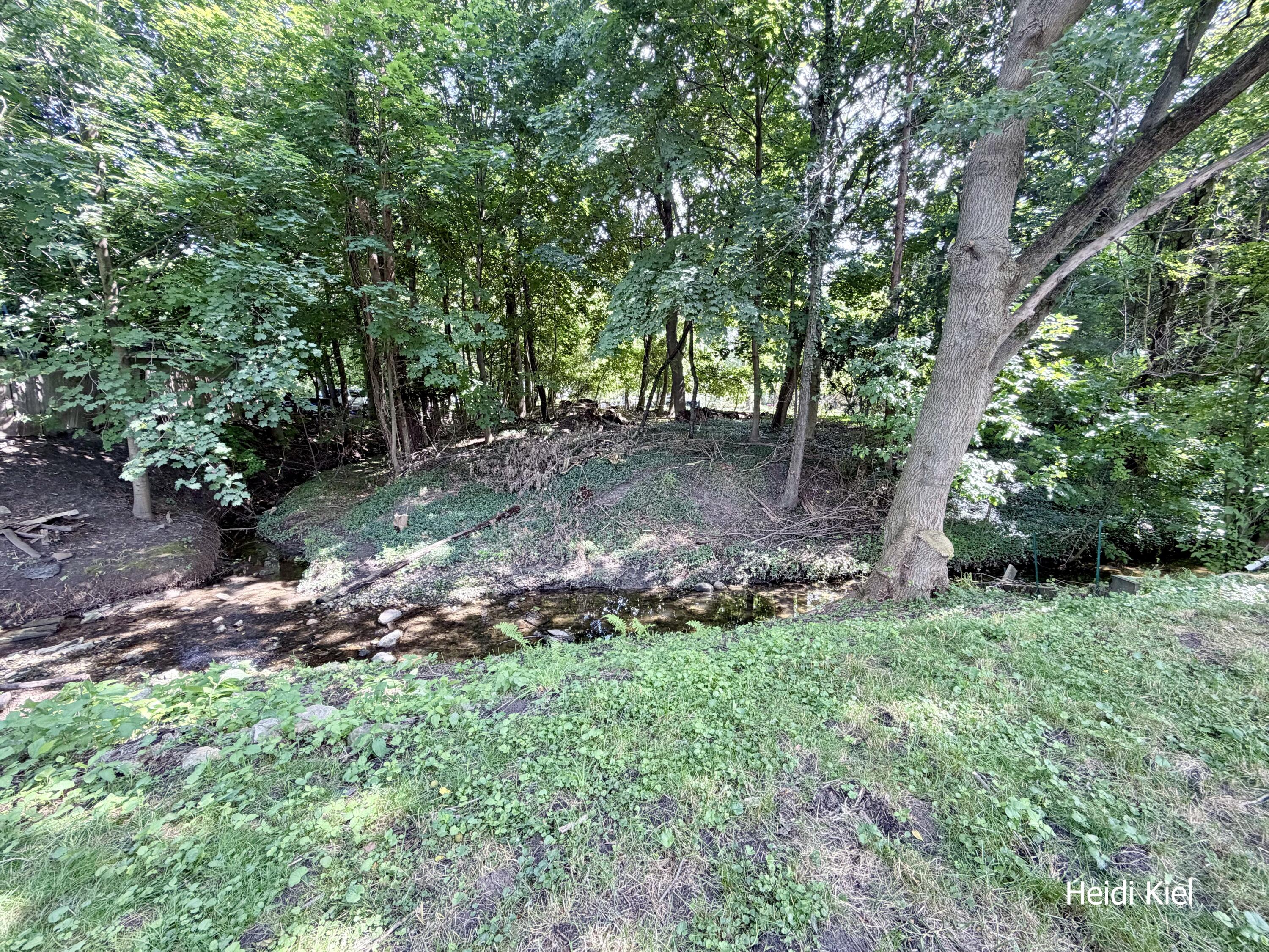 1382 Stanwood Drive NW Grand Rapids MI 49534