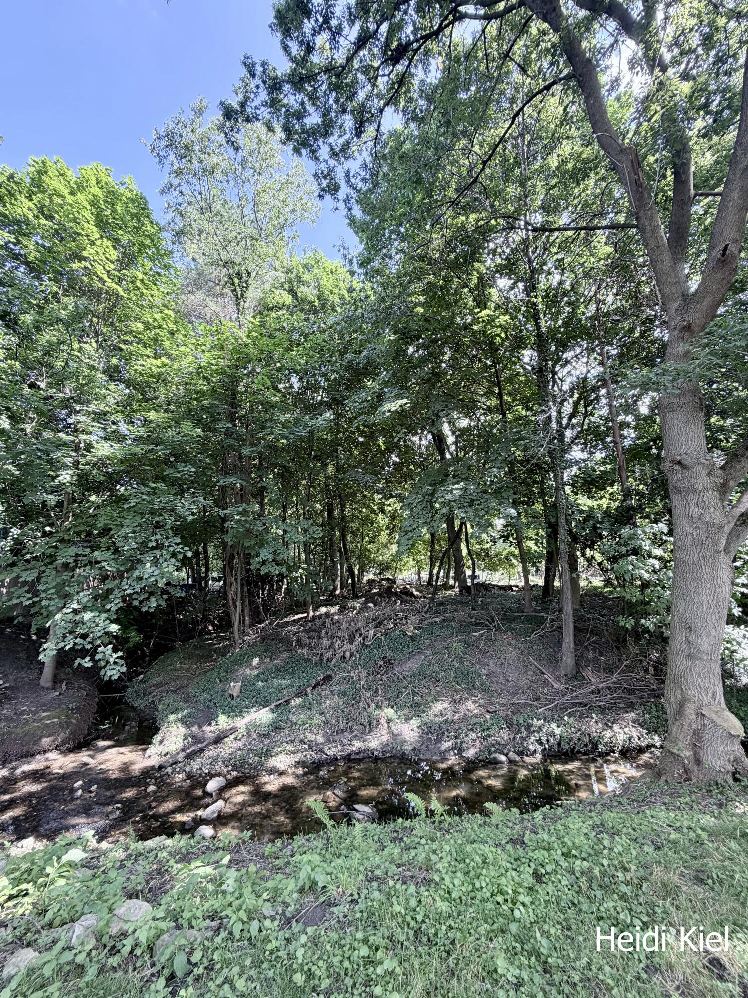 1382 Stanwood Drive NW Grand Rapids MI 49534