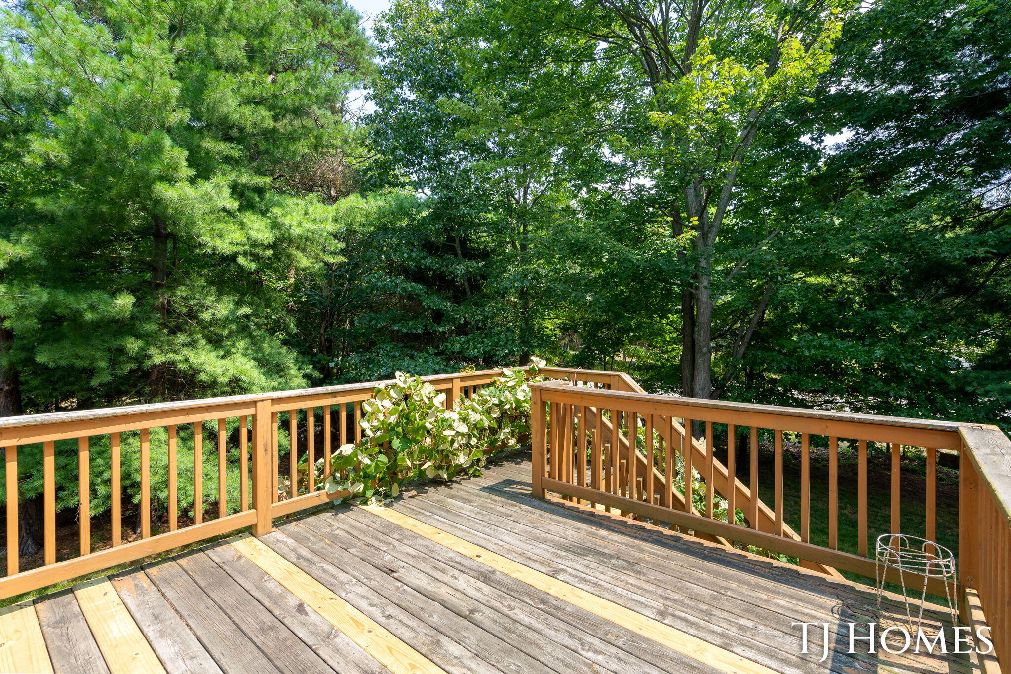 815 Ashlee Drive Norton Shores MI 49441