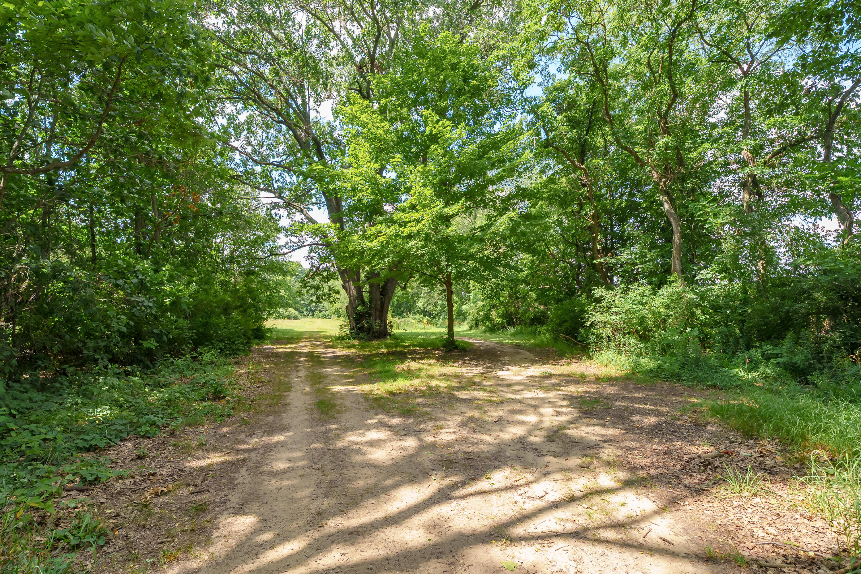 4321 Wolf Drive Kalamazoo MI 49009