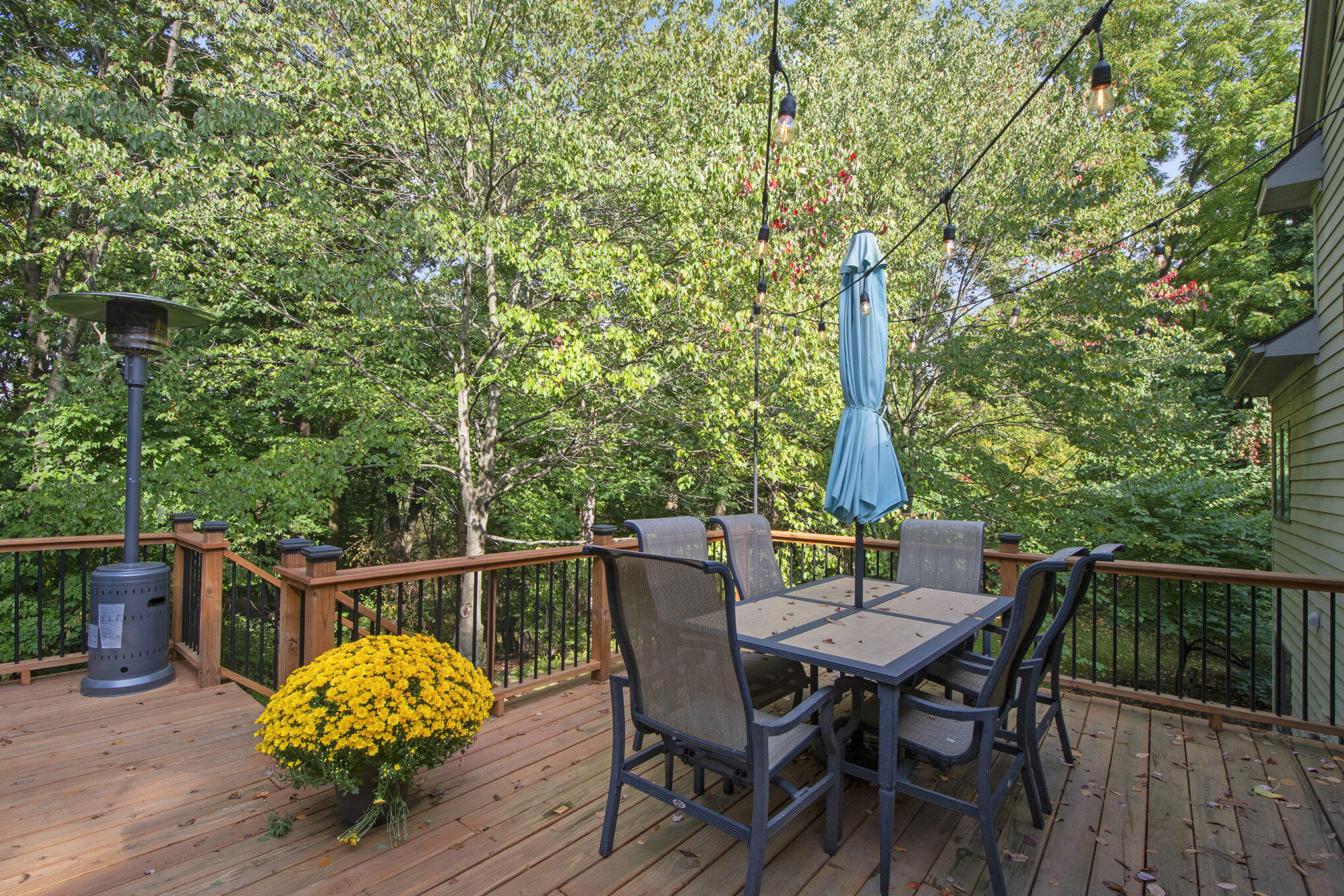 1610 Flowers Mill Drive NE Grand Rapids MI 49525