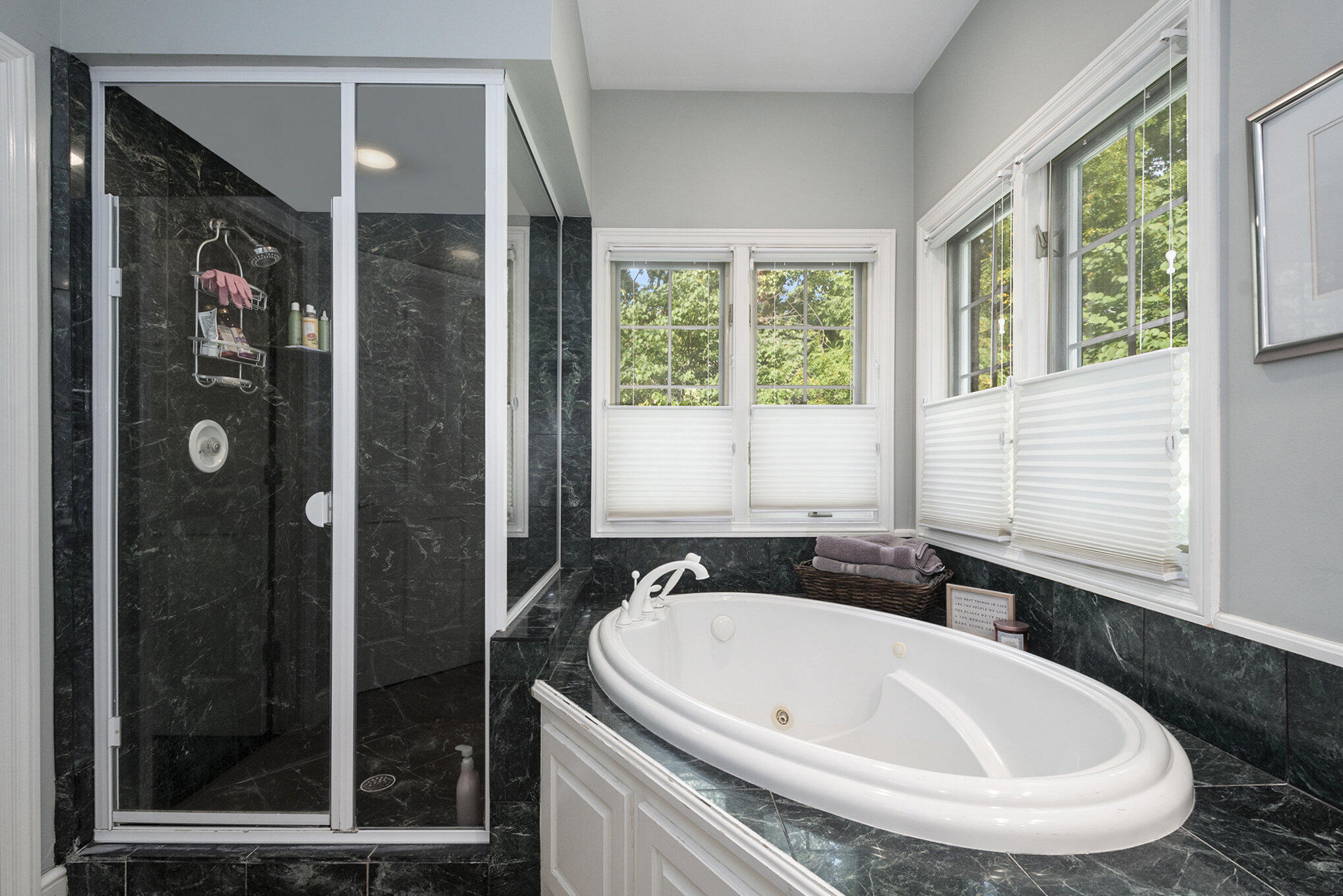 1610 Flowers Mill Drive NE Grand Rapids MI 49525