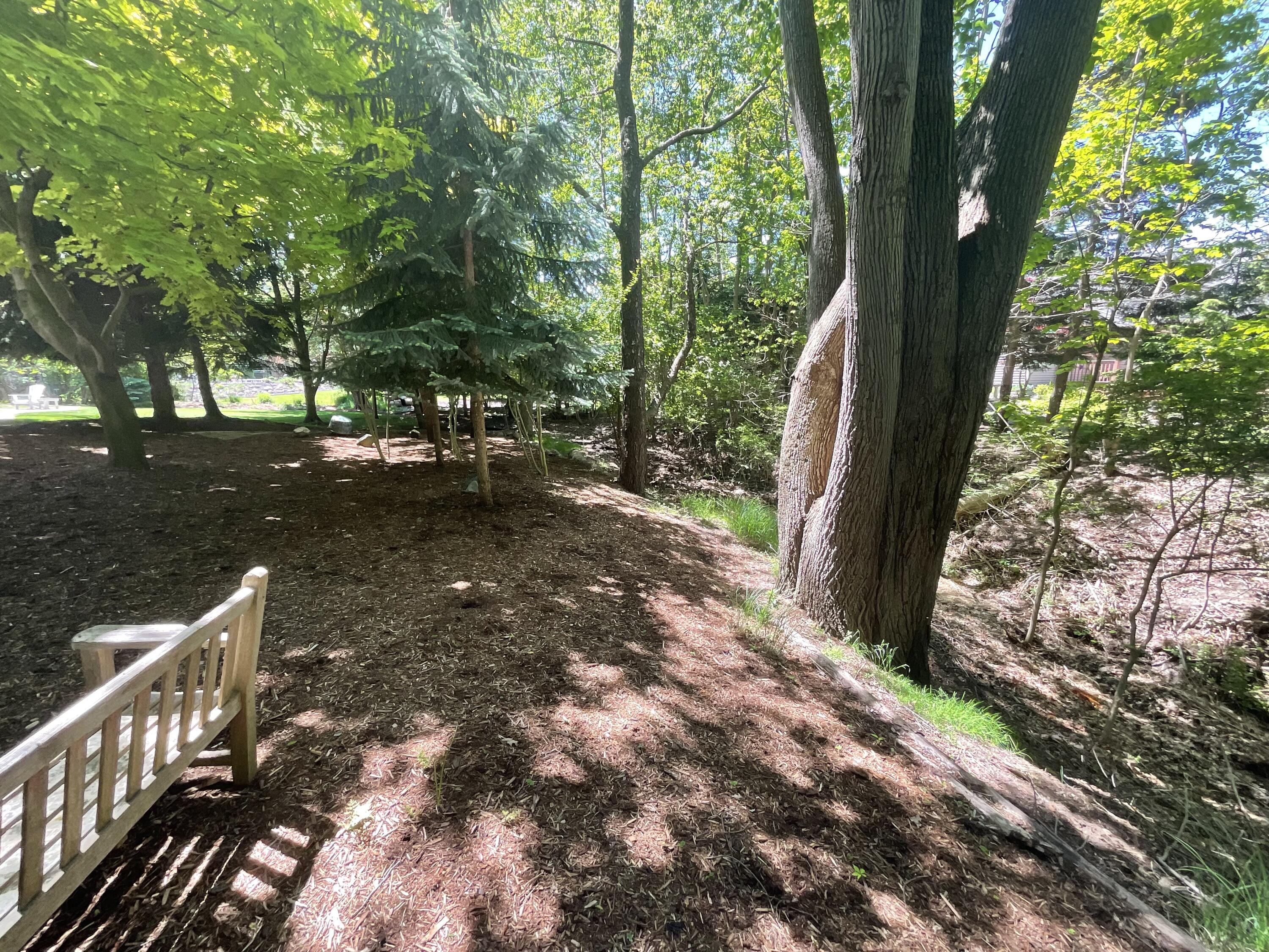 72 Wilderness Ridge Drive Douglas MI 49406