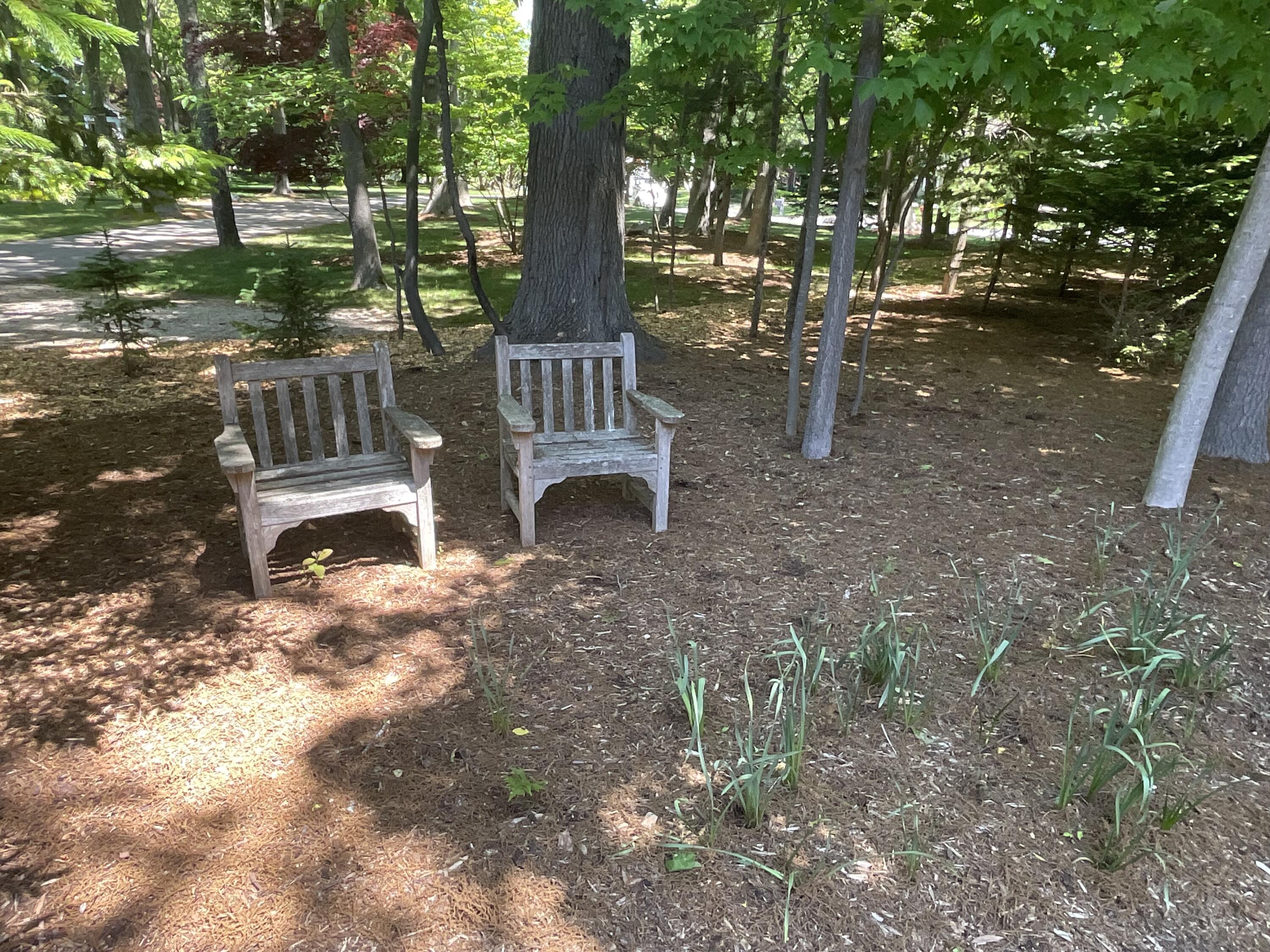 72 Wilderness Ridge Drive Douglas MI 49406