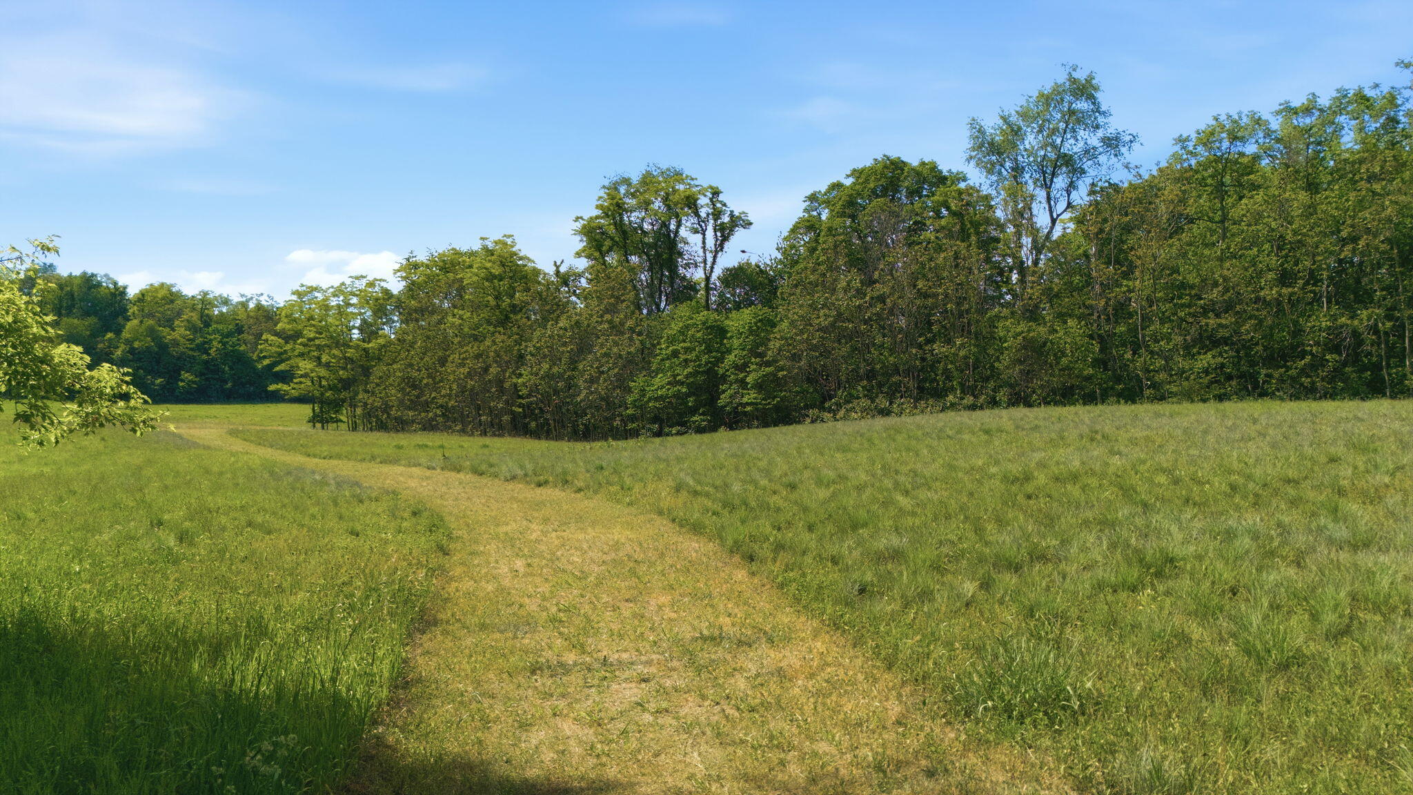 1920 High Meadow S Niles MI 49120