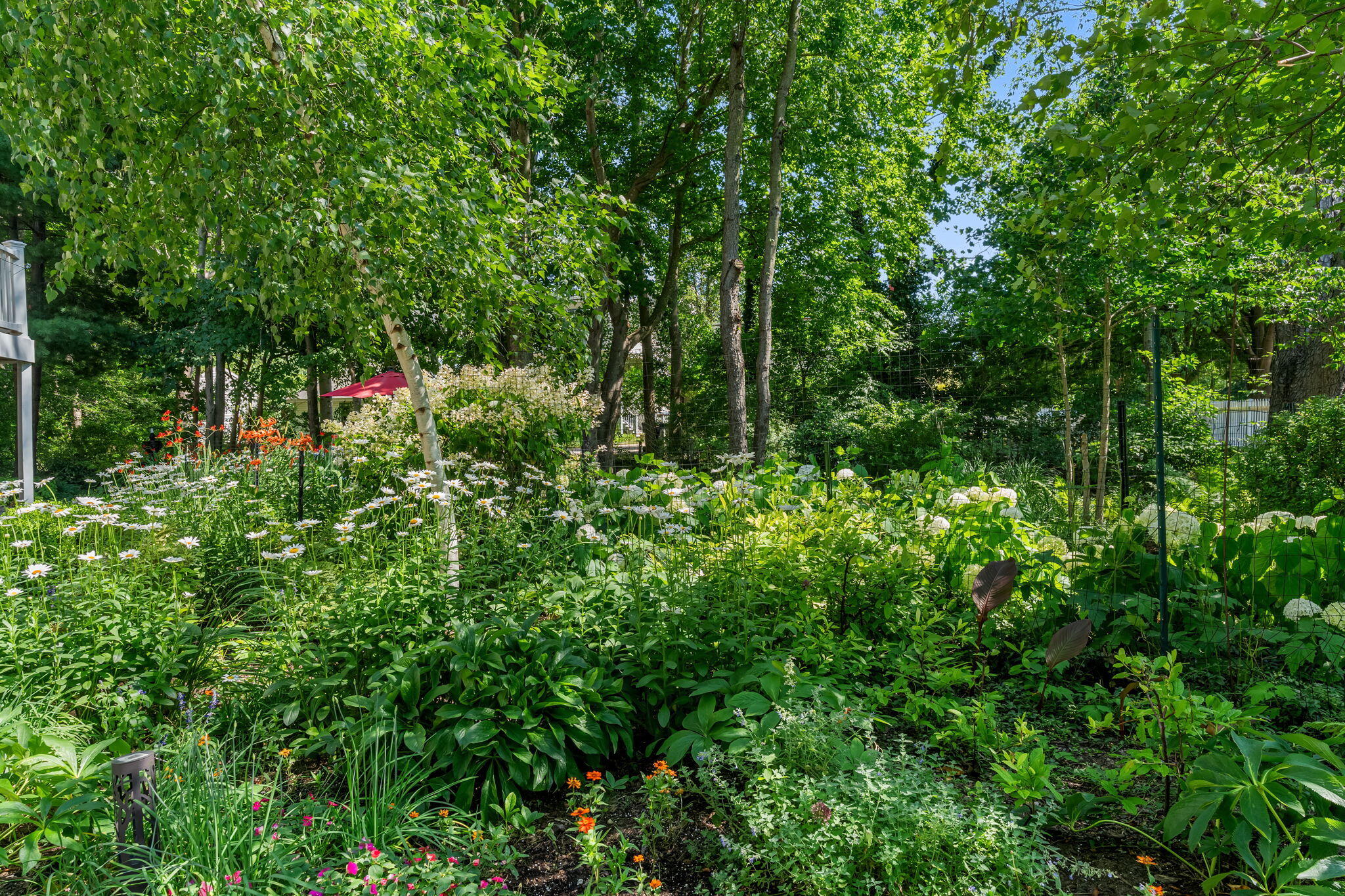 6806 Wiley Road Douglas MI 49406