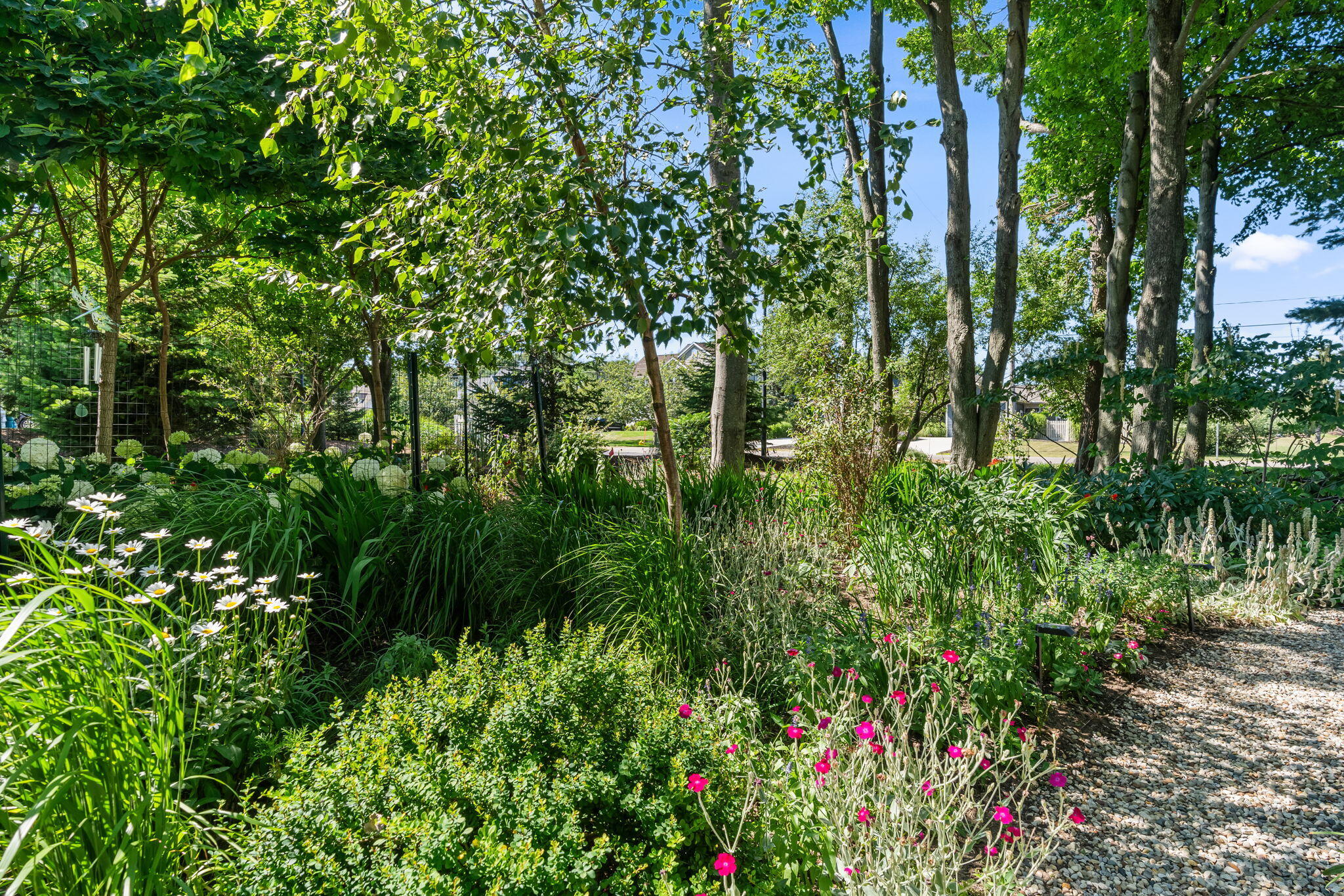 6806 Wiley Road Douglas MI 49406