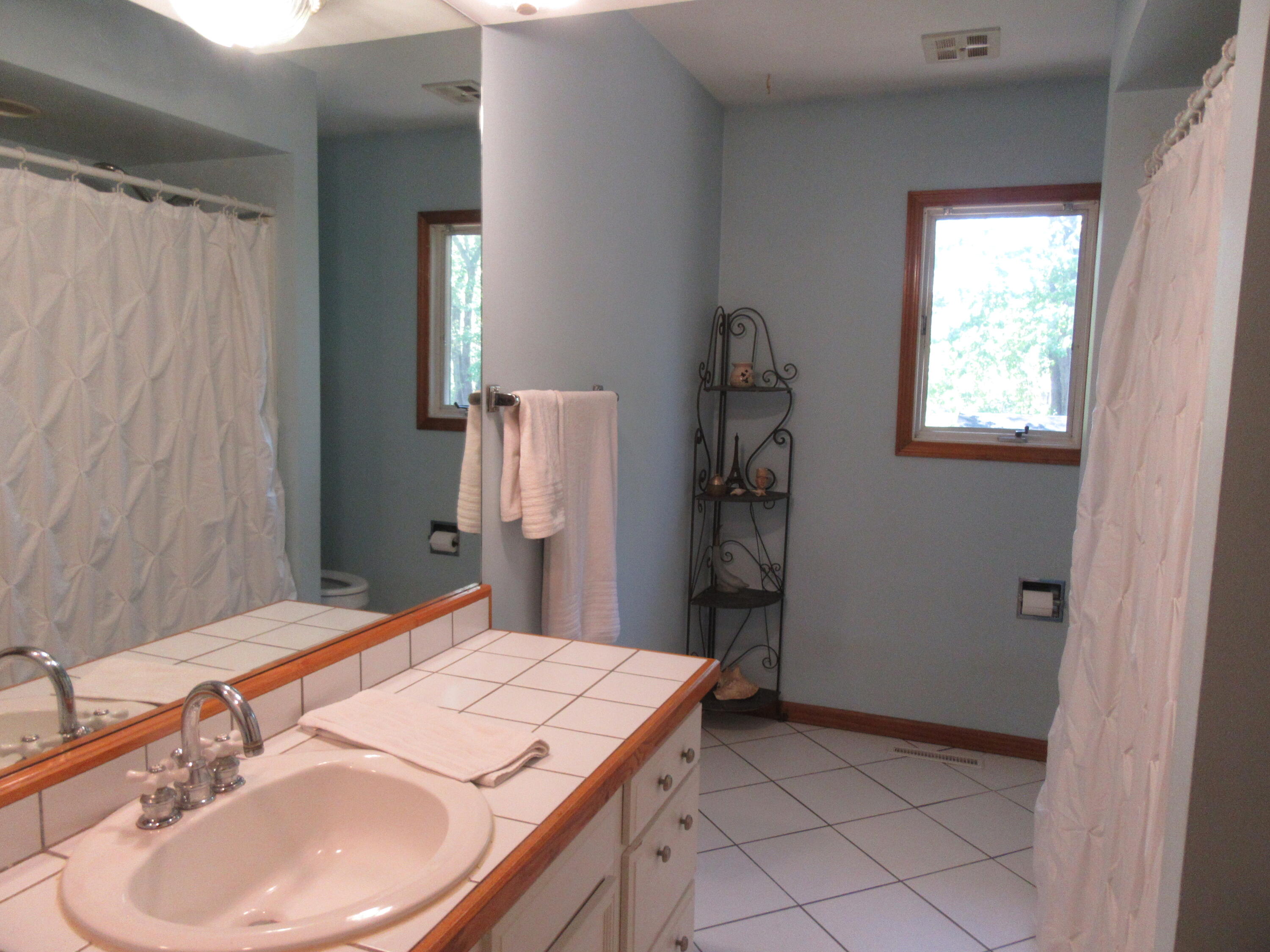 9552 Pine Street Bridgman MI 49106