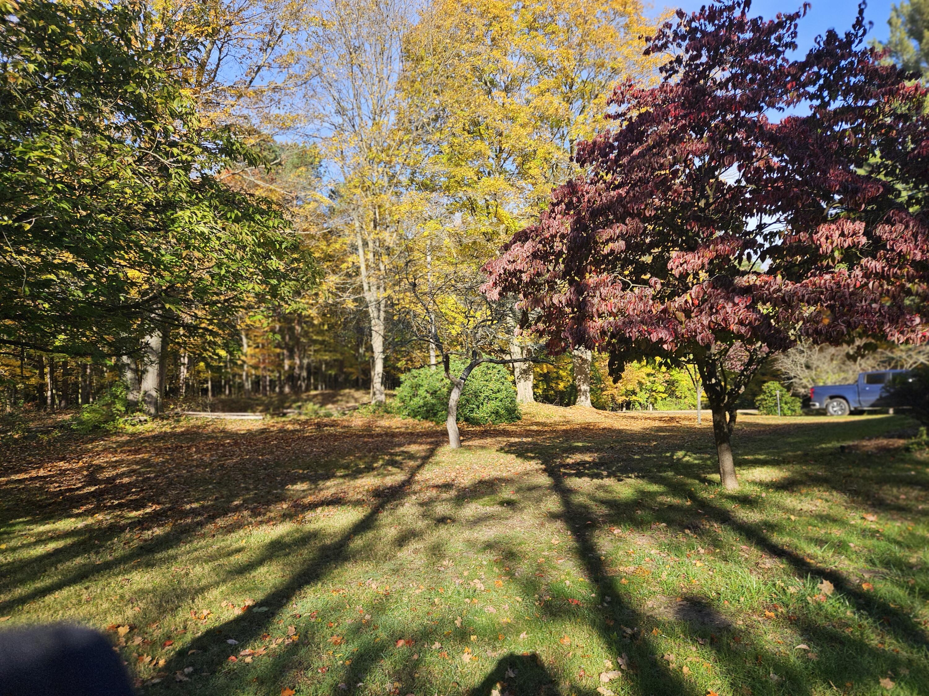 7040 Holly Drive West Olive MI 49460