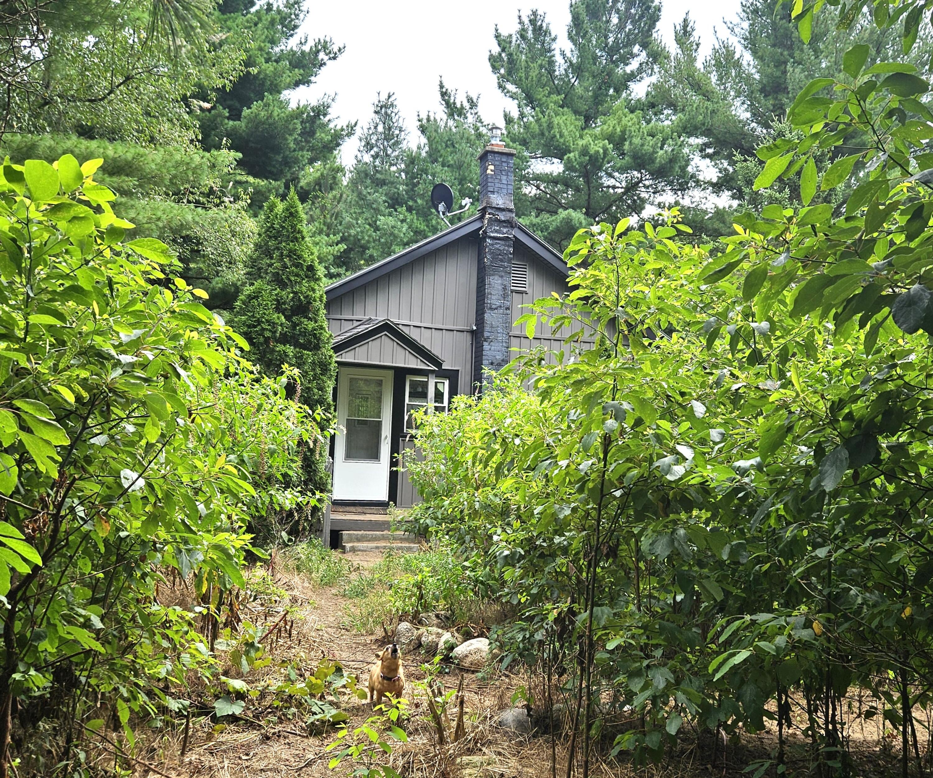 38050 78th Street Covert MI 49043