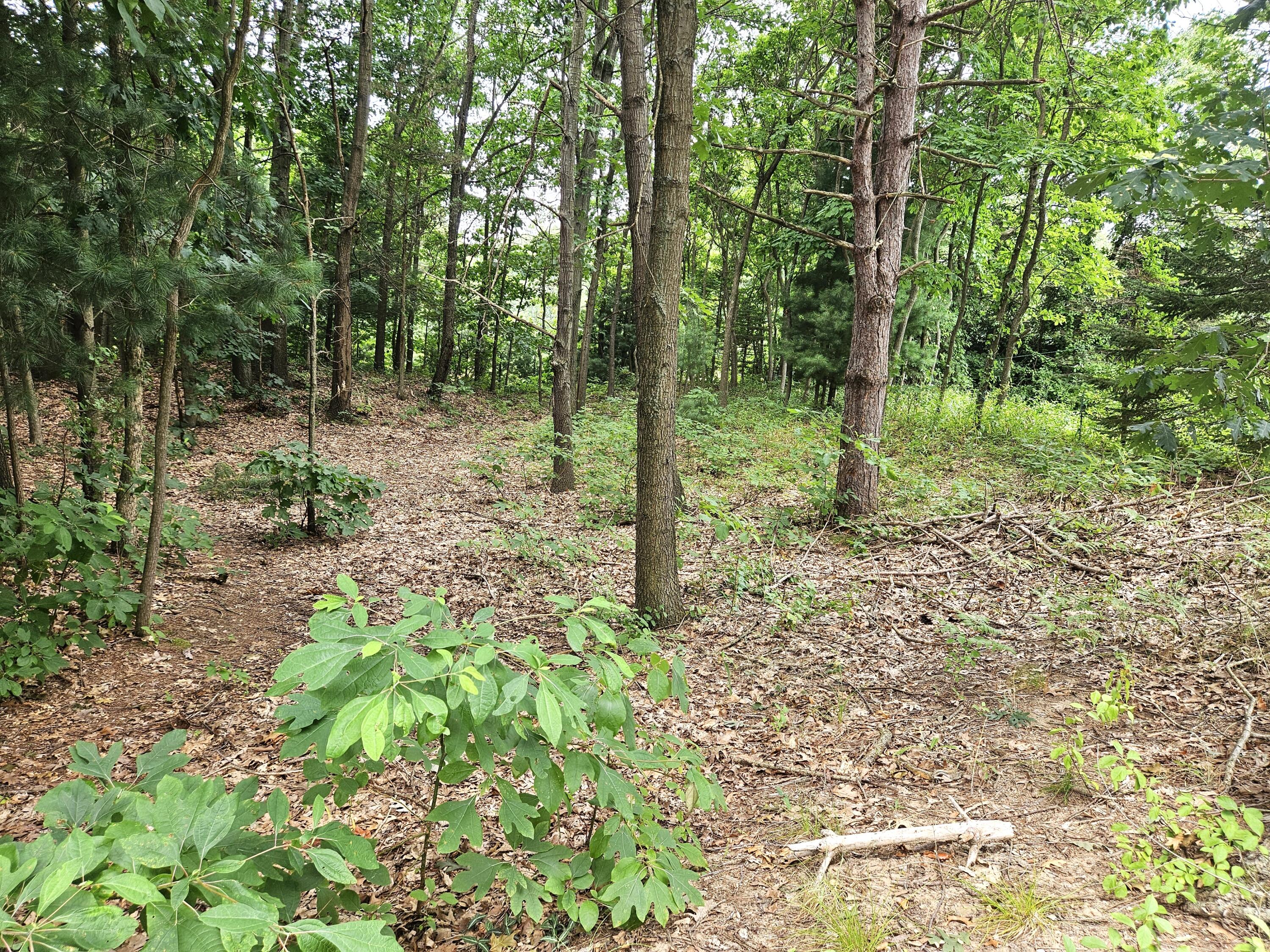 38050 78th Street Covert MI 49043