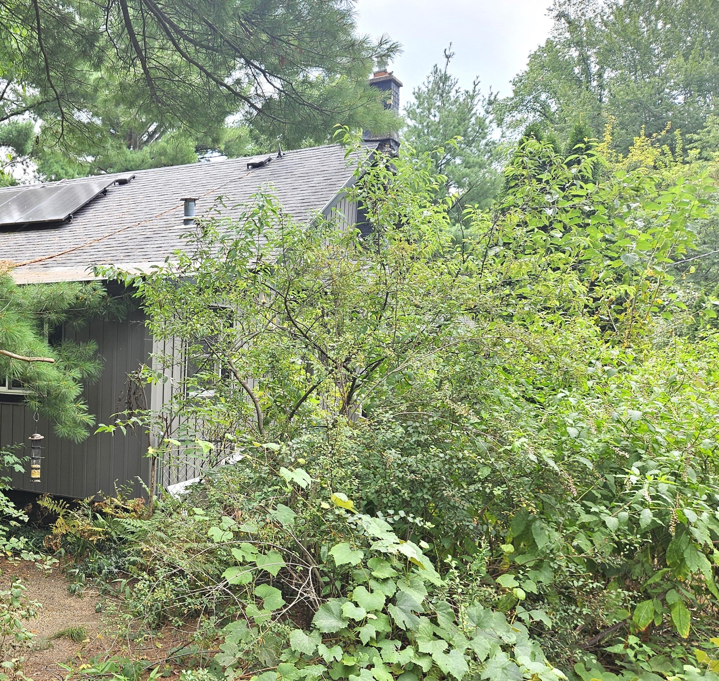 38050 78th Street Covert MI 49043