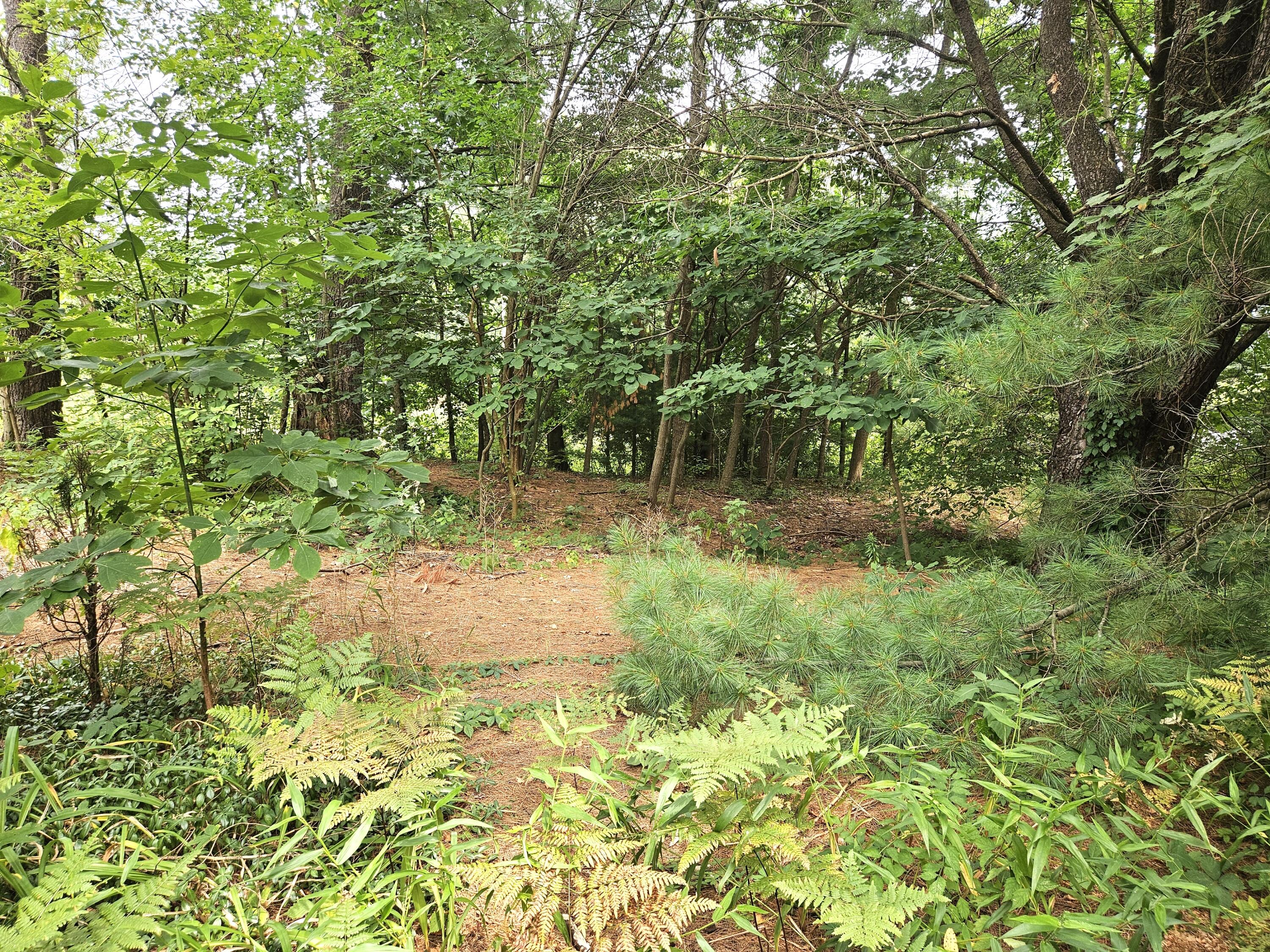 38050 78th Street Covert MI 49043