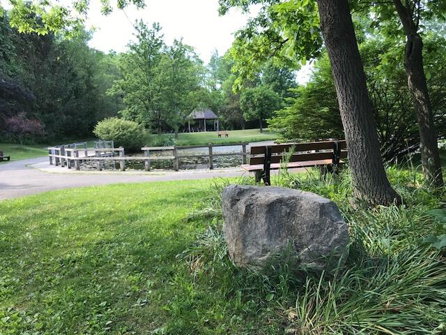 974 Dogwood Meadows Drive SE Ada MI 49301