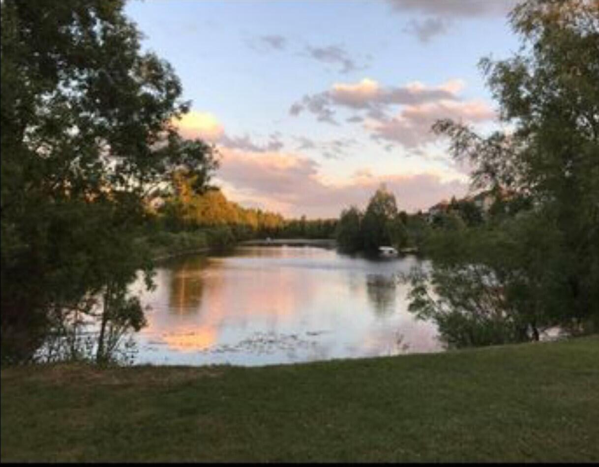 974 Dogwood Meadows Drive SE Ada MI 49301