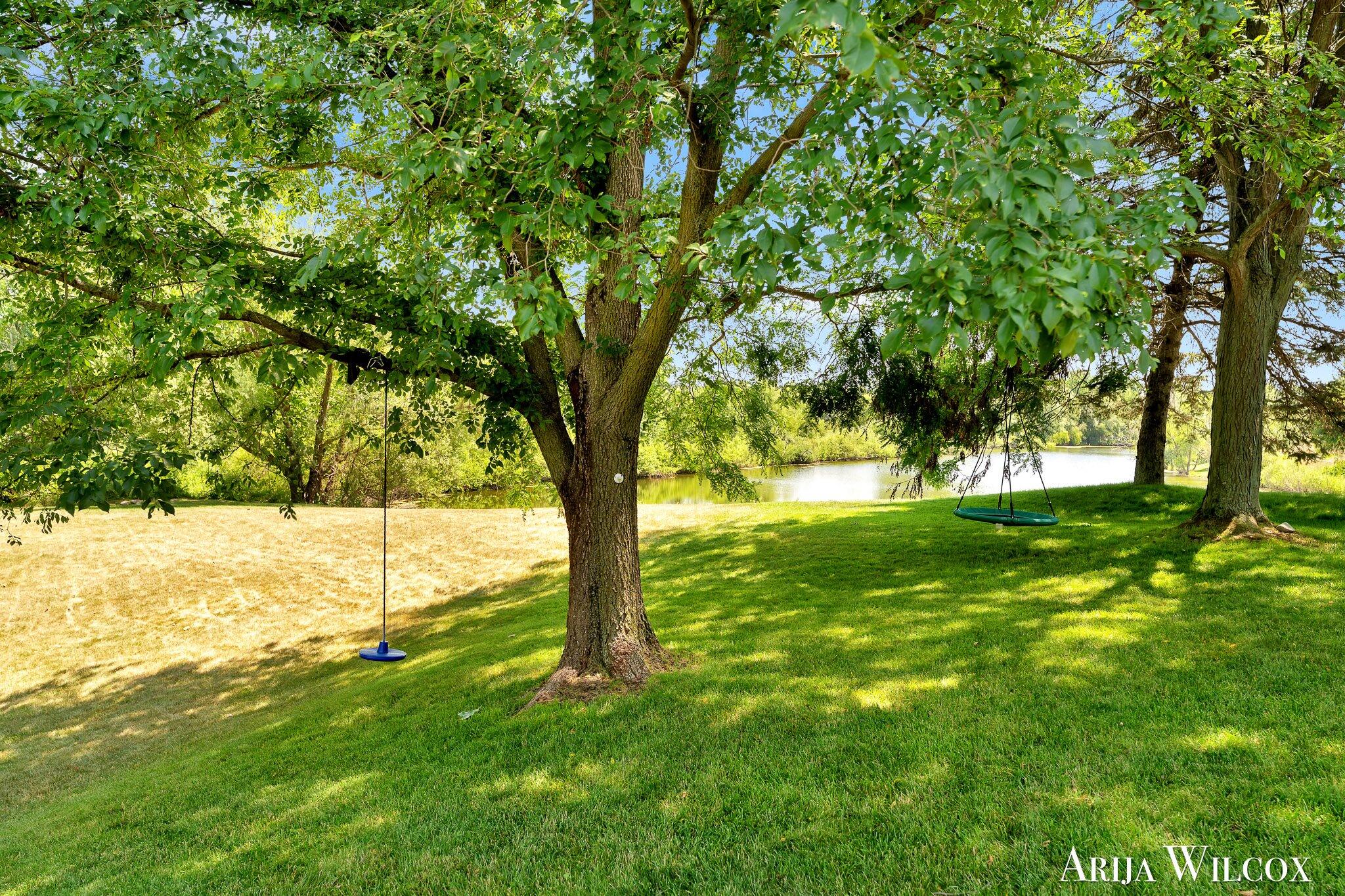 974 Dogwood Meadows Drive SE Ada MI 49301