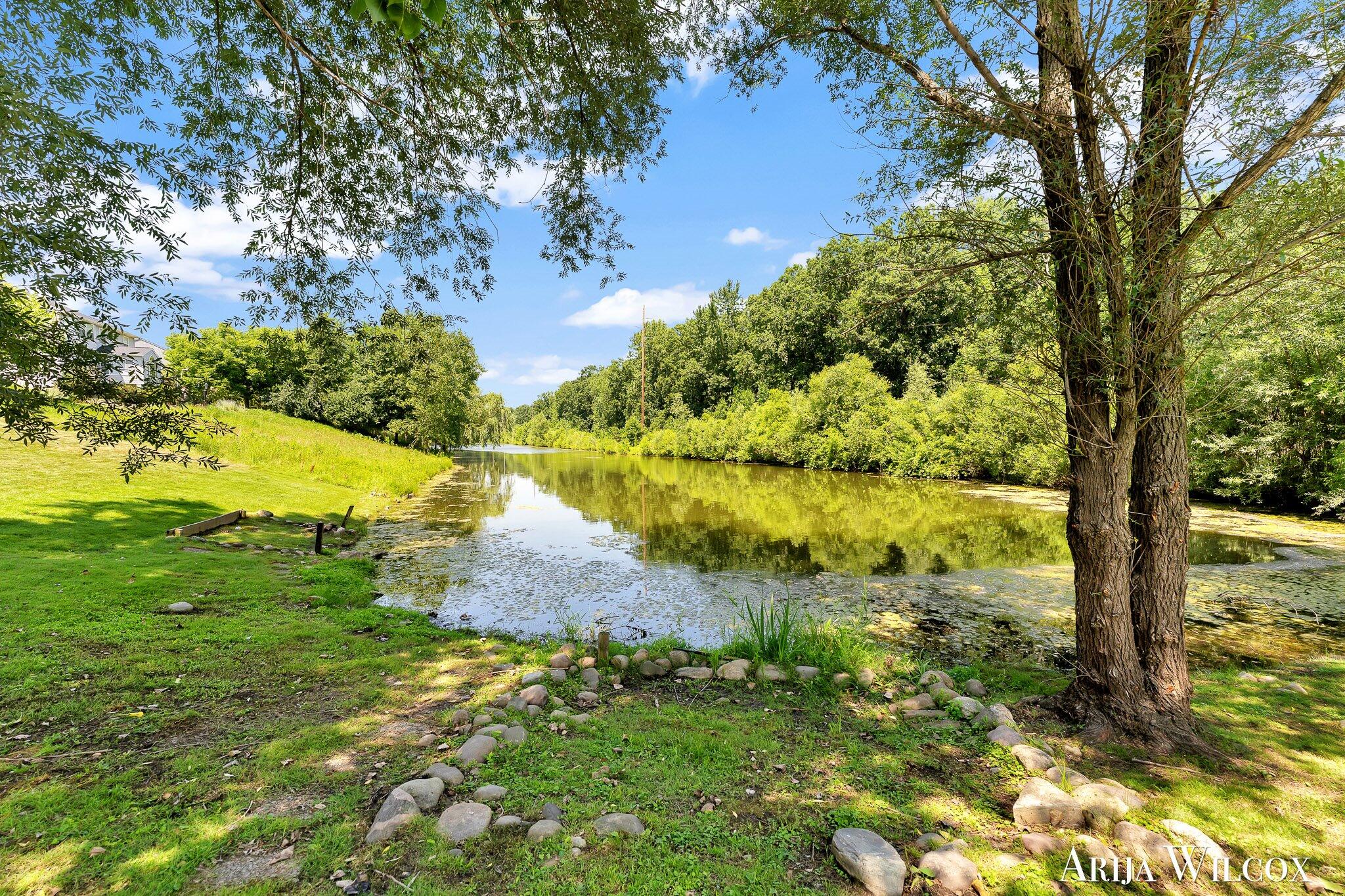 974 Dogwood Meadows Drive SE Ada MI 49301