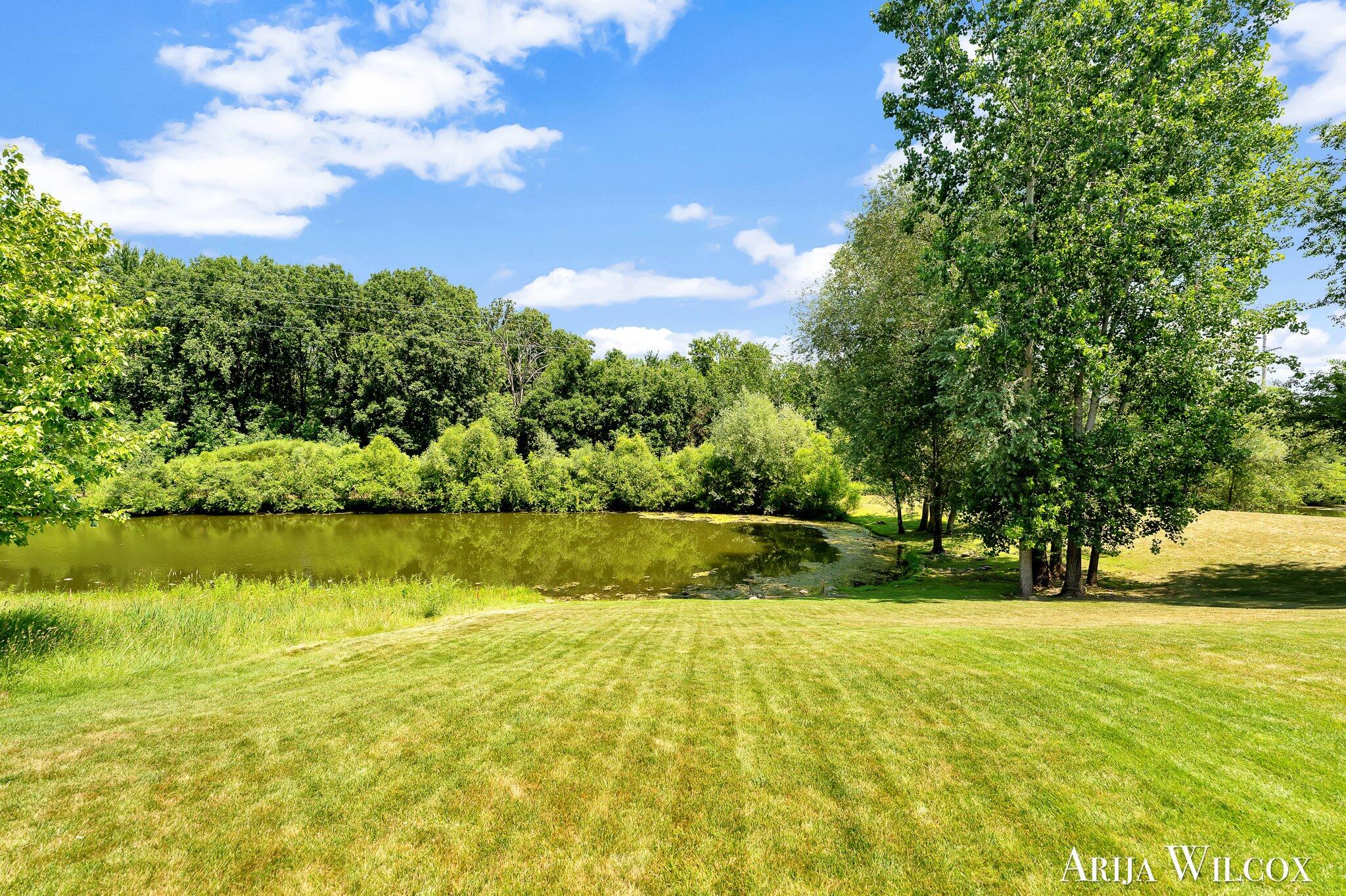 974 Dogwood Meadows Drive SE Ada MI 49301