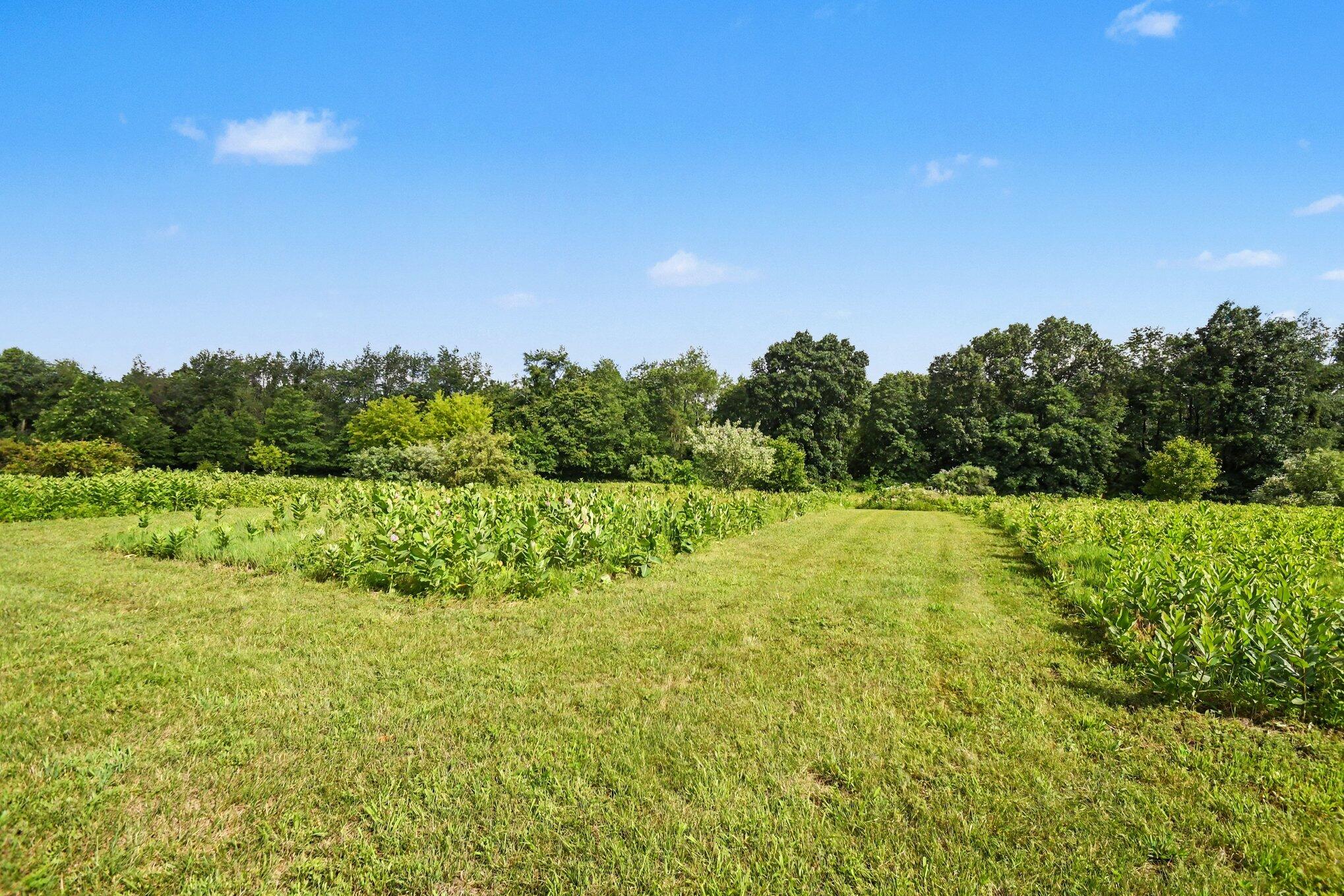 3181 Chamberlain Road Buchanan MI 49107