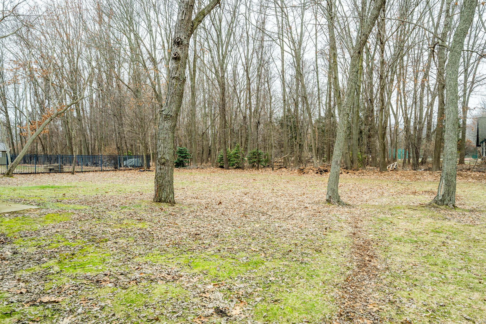 2651 Jefferson Drive Stevensville MI 49127