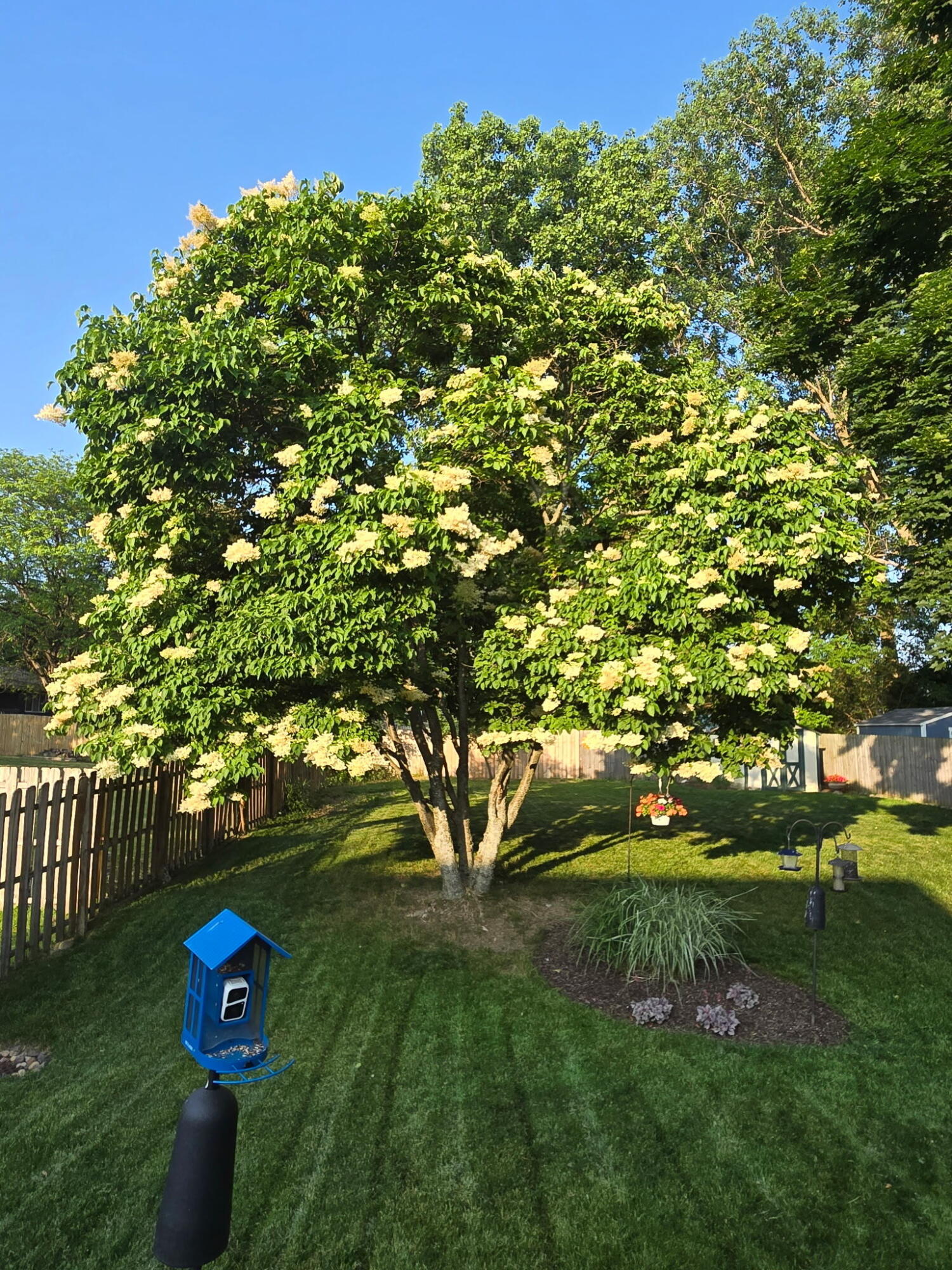 3232 Brook Trail SE Grand Rapids MI 49508