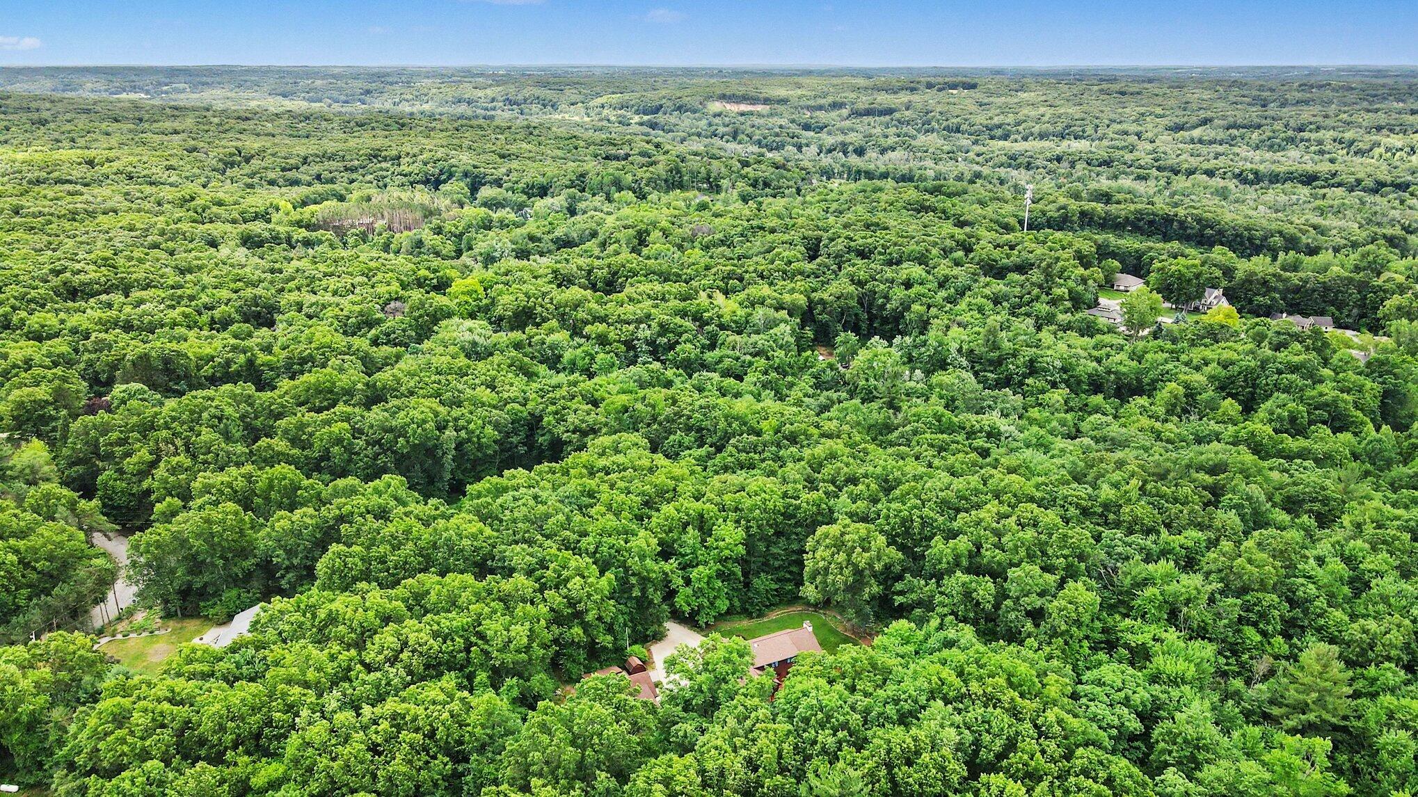655 Auburn Trail SE Ada MI 49301