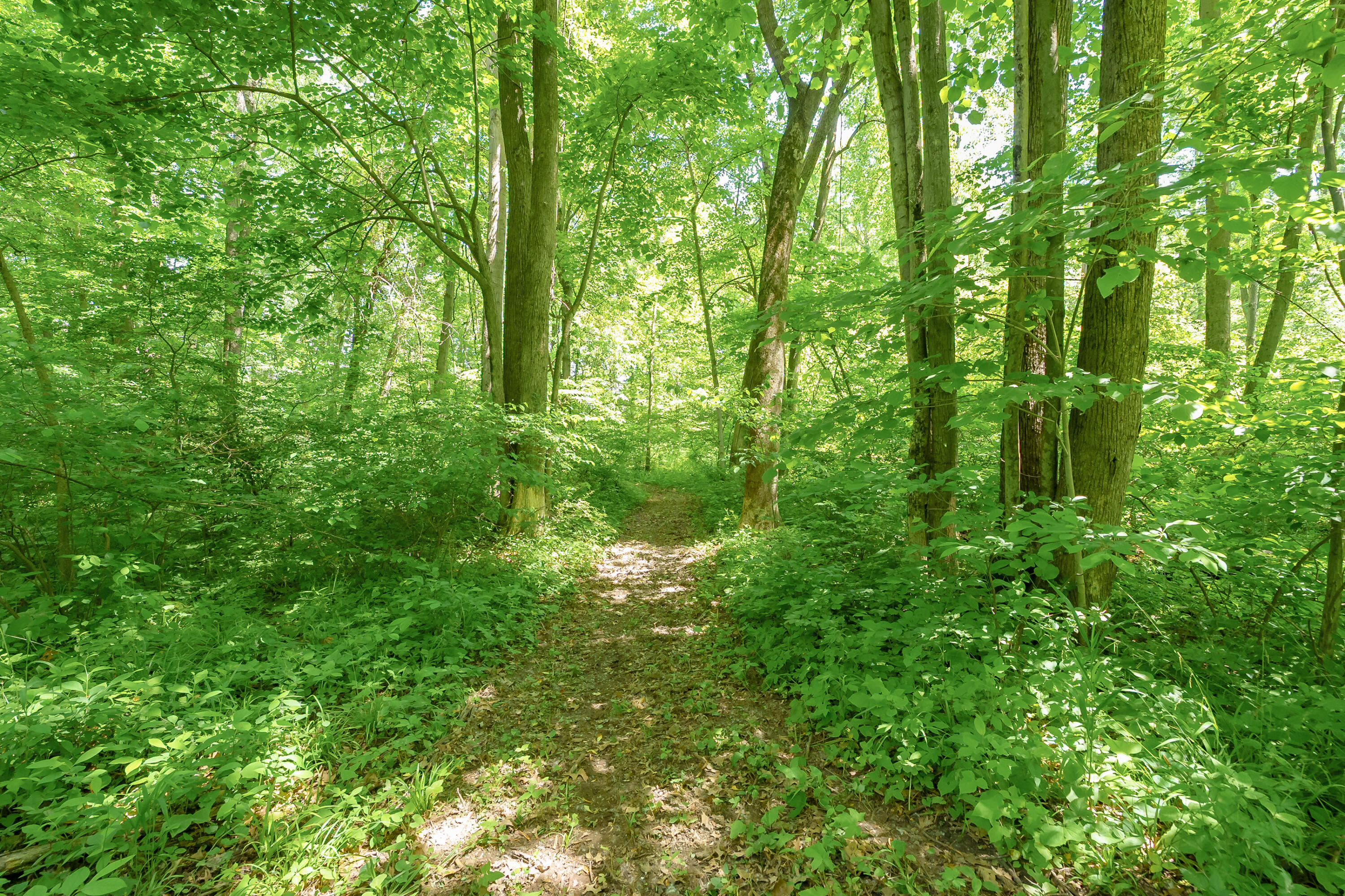 56200 California Road Dowagiac MI 49047