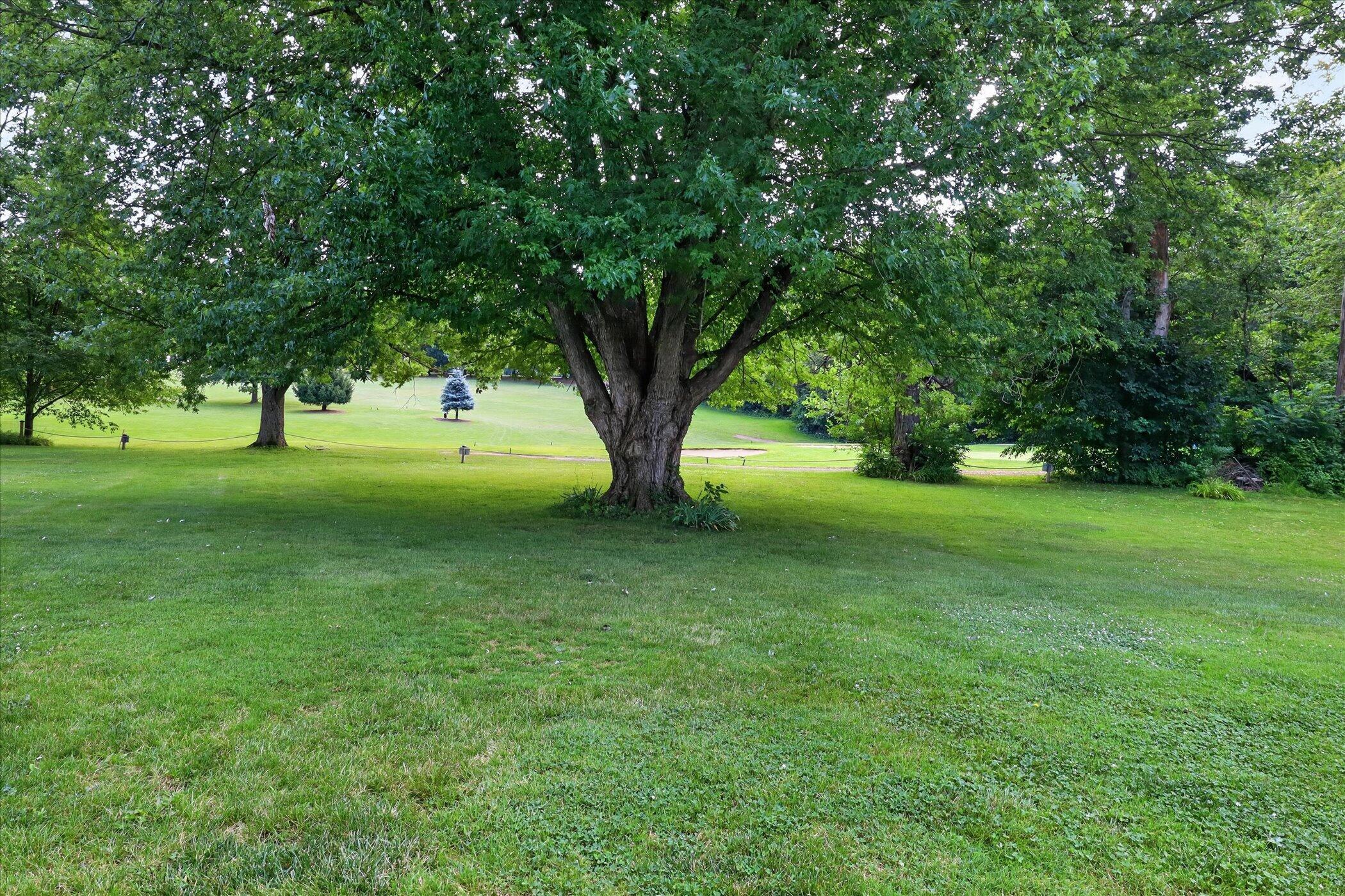 22279 Loupee Drive Cassopolis MI 49031