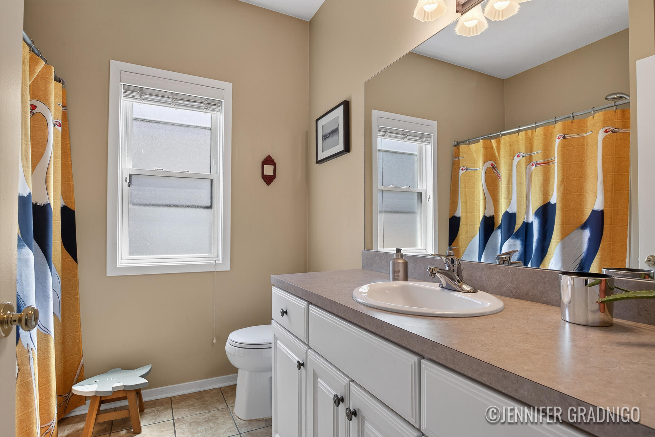 12987 Blueberry Lane Holland MI 49424