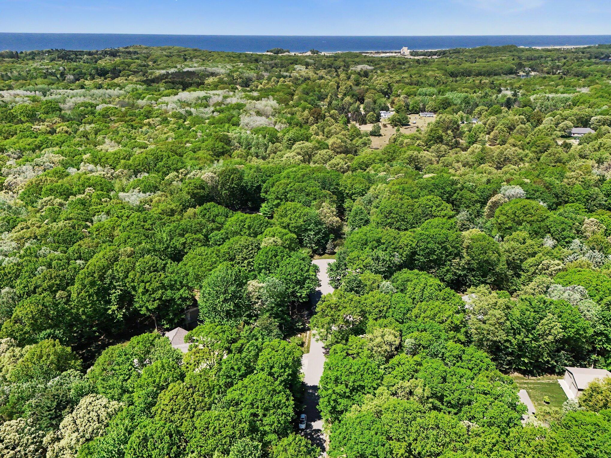 6544 W Forest Edge Drive Ludington MI 49431