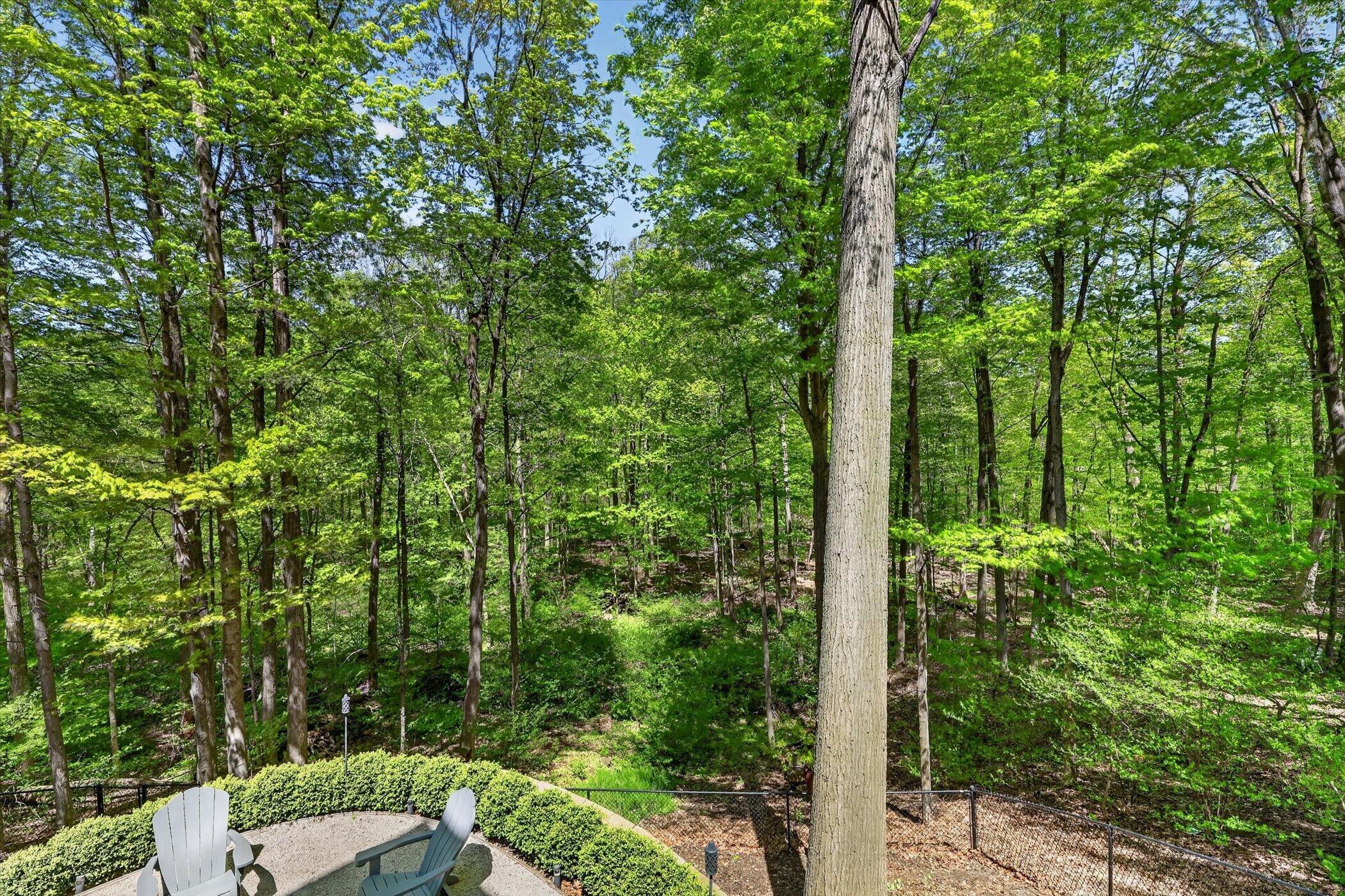 13679 Deer Creek Drive South Haven MI 49090