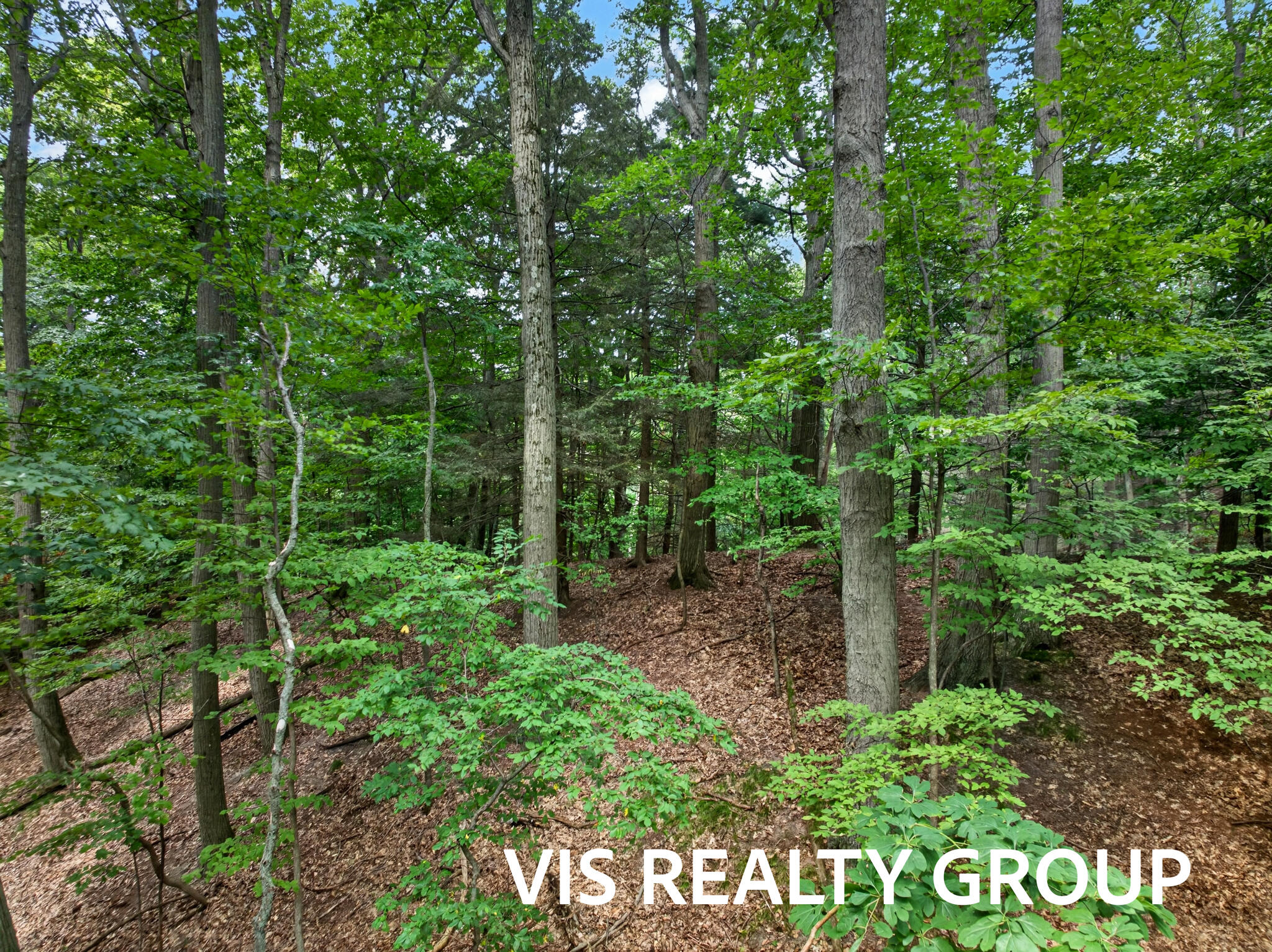 18221 Holcomb Hills Road Grand Haven MI 49417