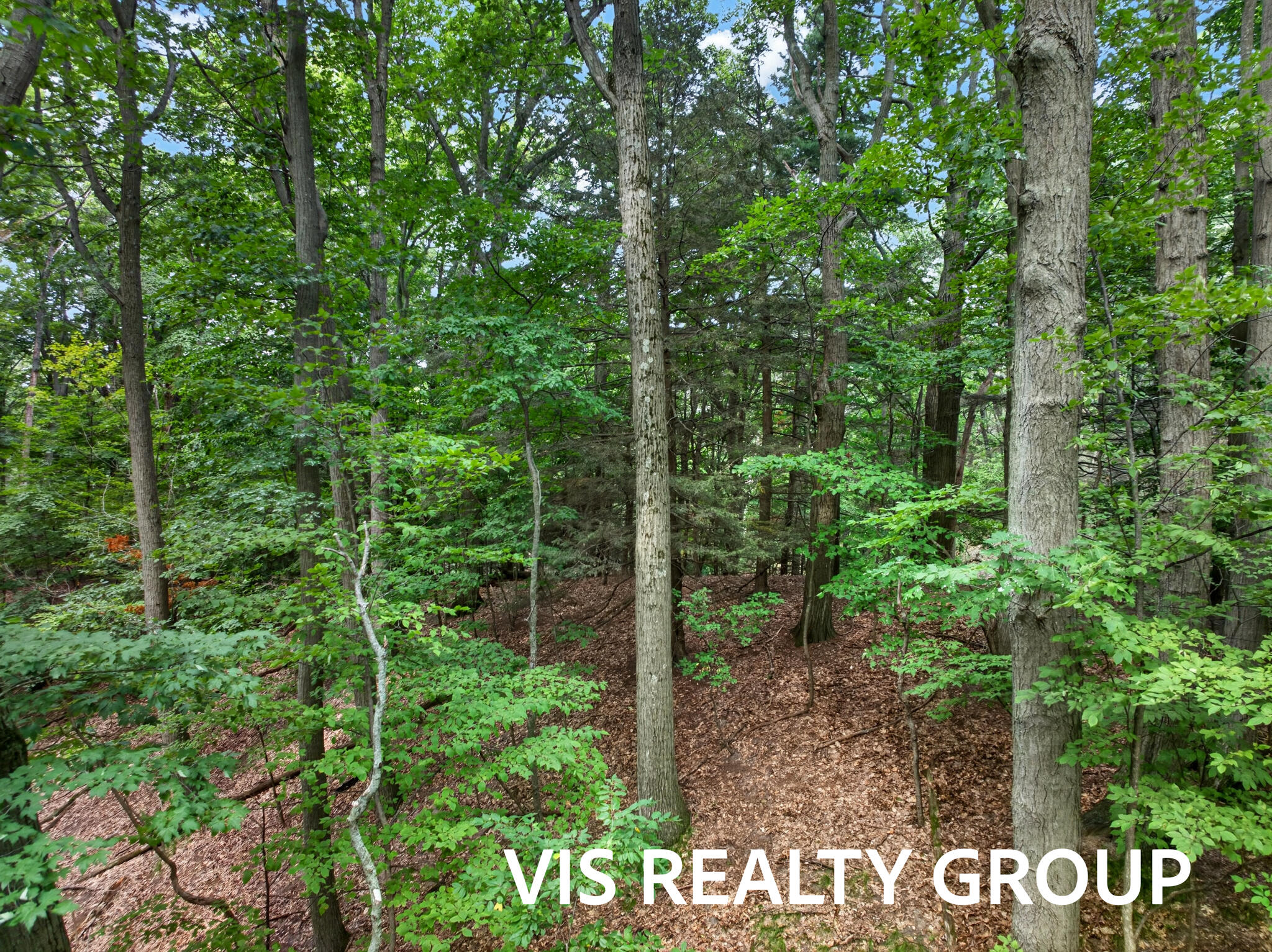 18221 Holcomb Hills Road Grand Haven MI 49417