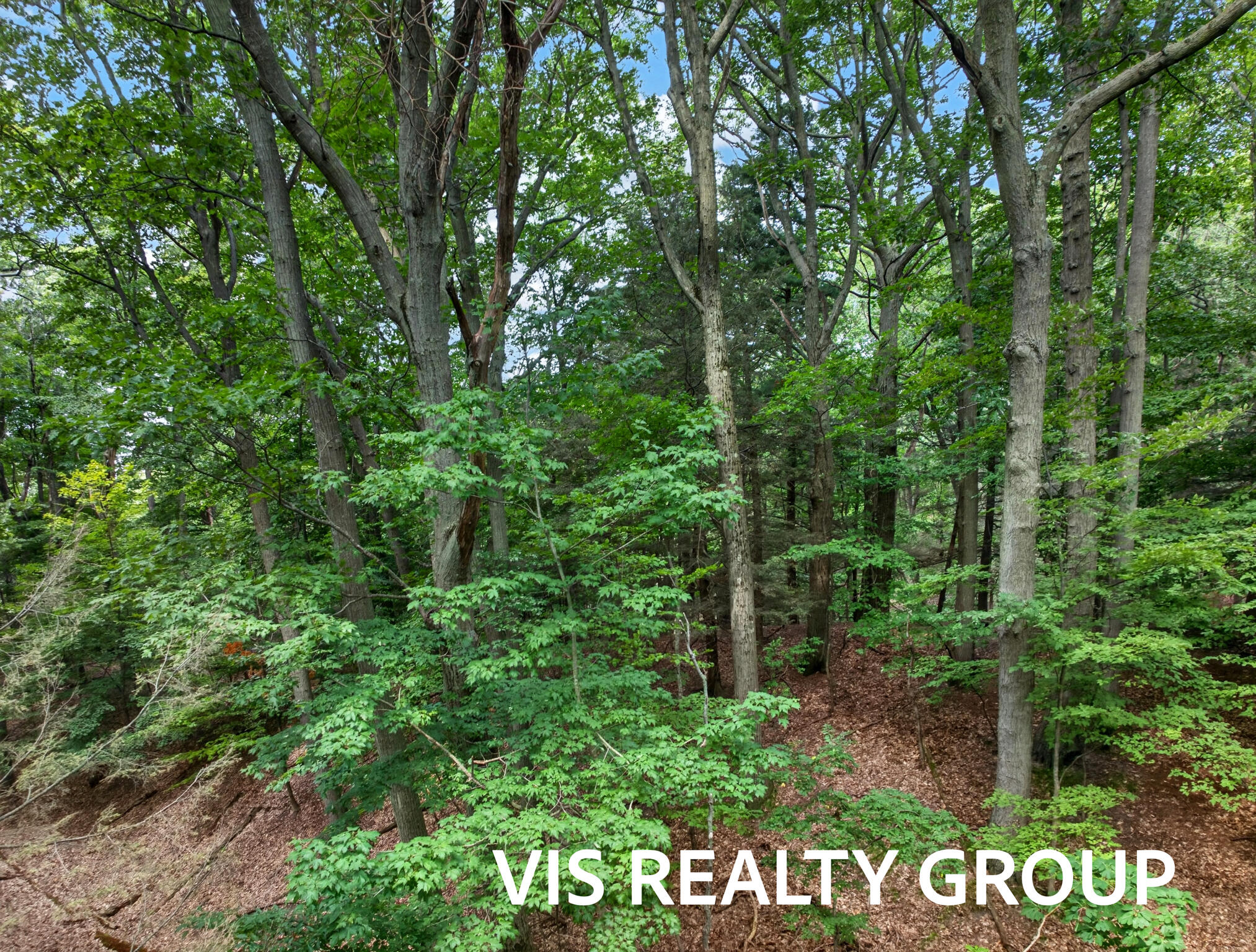 18221 Holcomb Hills Road Grand Haven MI 49417