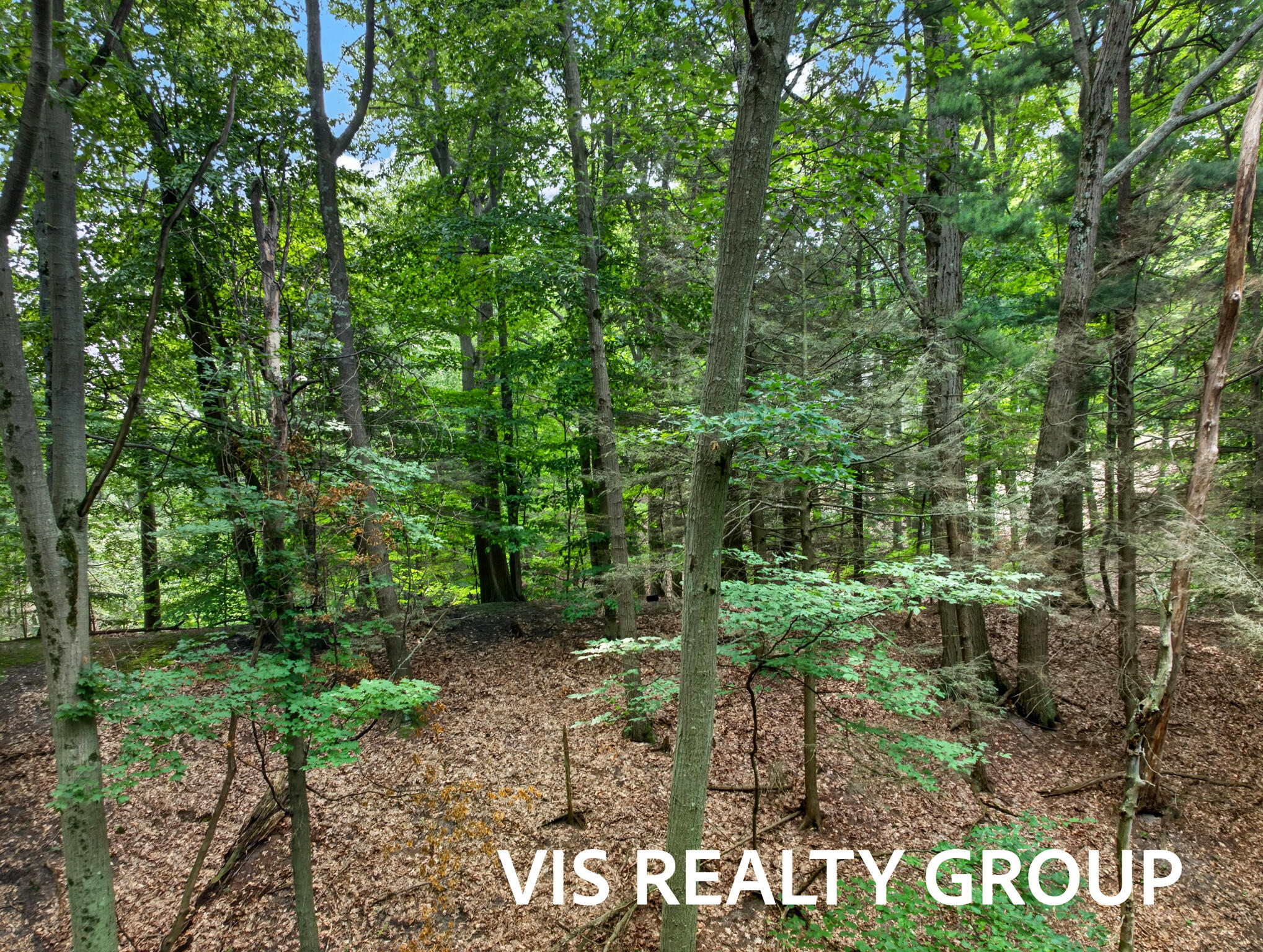 18221 Holcomb Hills Road Grand Haven MI 49417