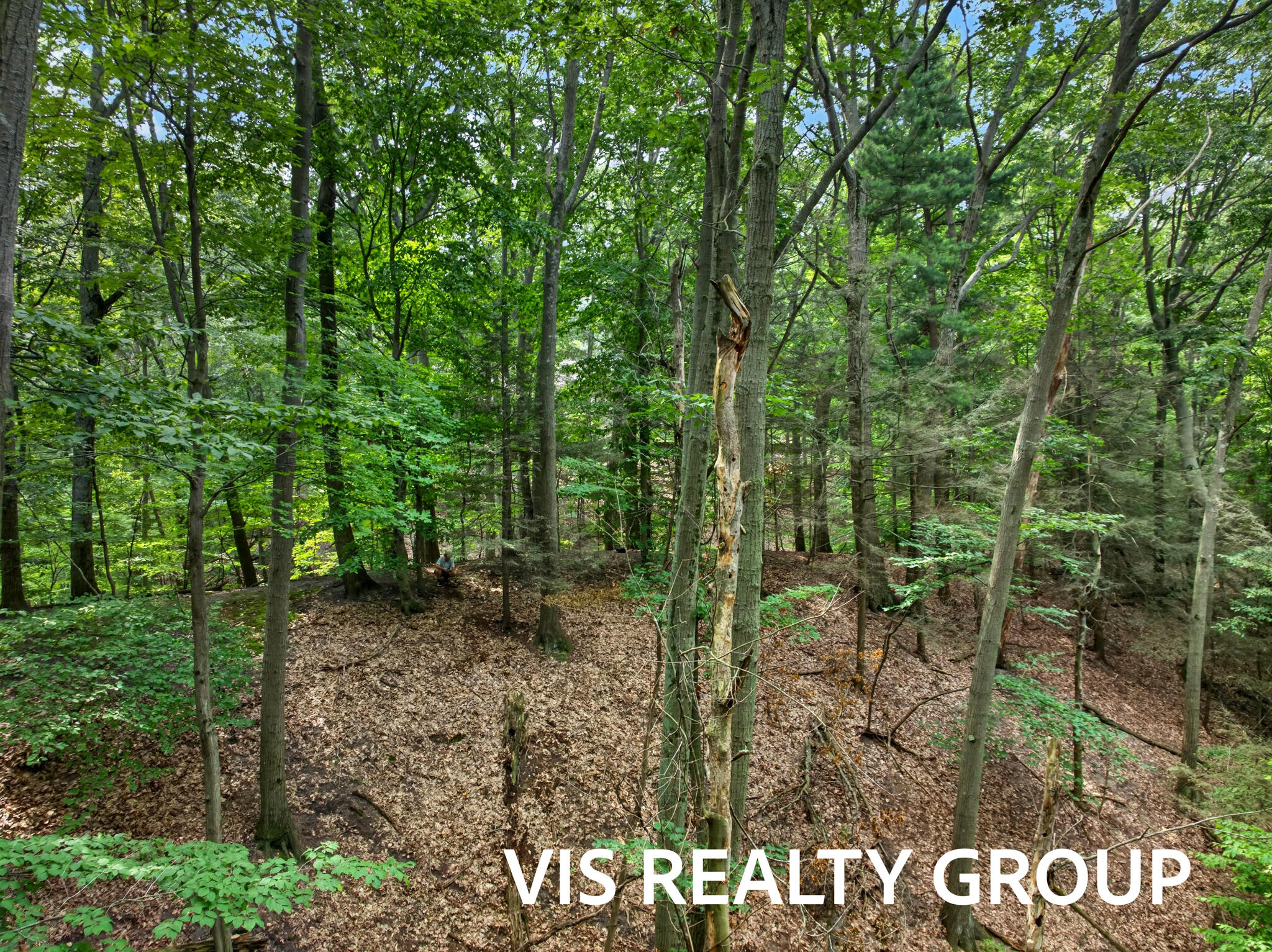 18221 Holcomb Hills Road Grand Haven MI 49417