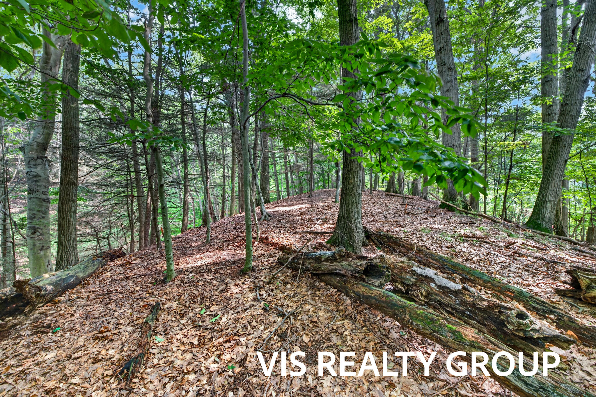 18221 Holcomb Hills Road Grand Haven MI 49417