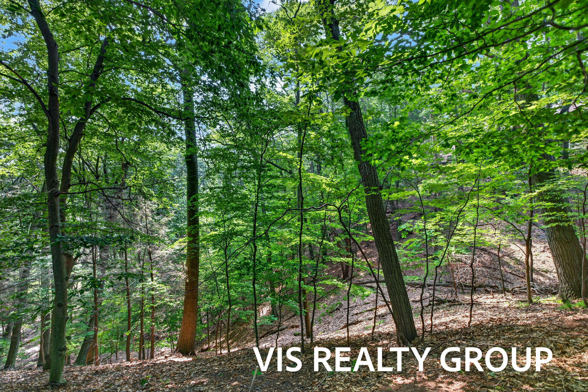 18221 Holcomb Hills Road Grand Haven MI 49417