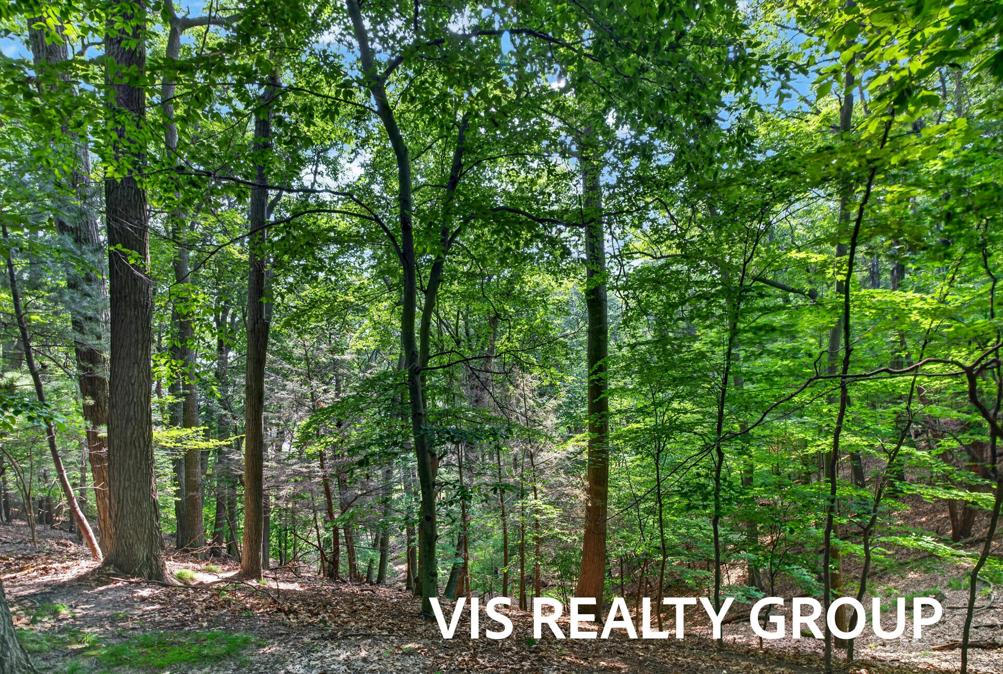 18221 Holcomb Hills Road Grand Haven MI 49417
