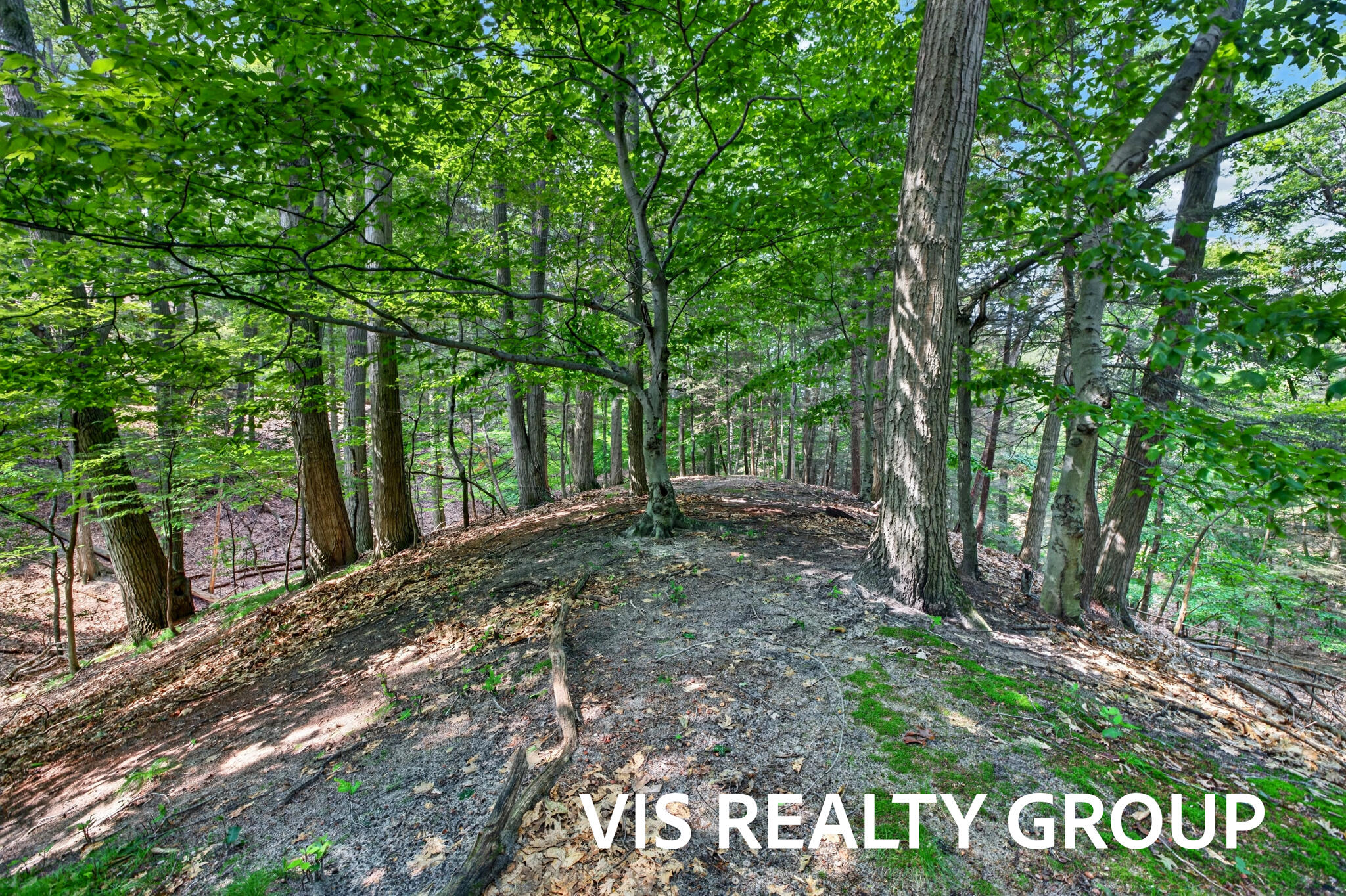 18221 Holcomb Hills Road Grand Haven MI 49417