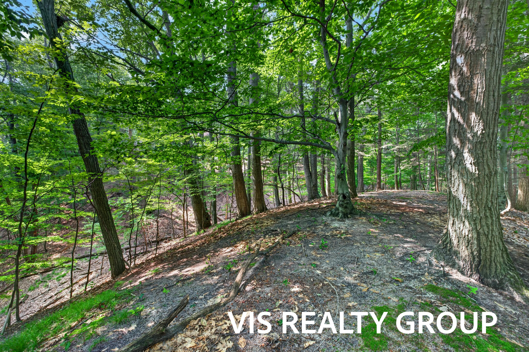 18221 Holcomb Hills Road Grand Haven MI 49417